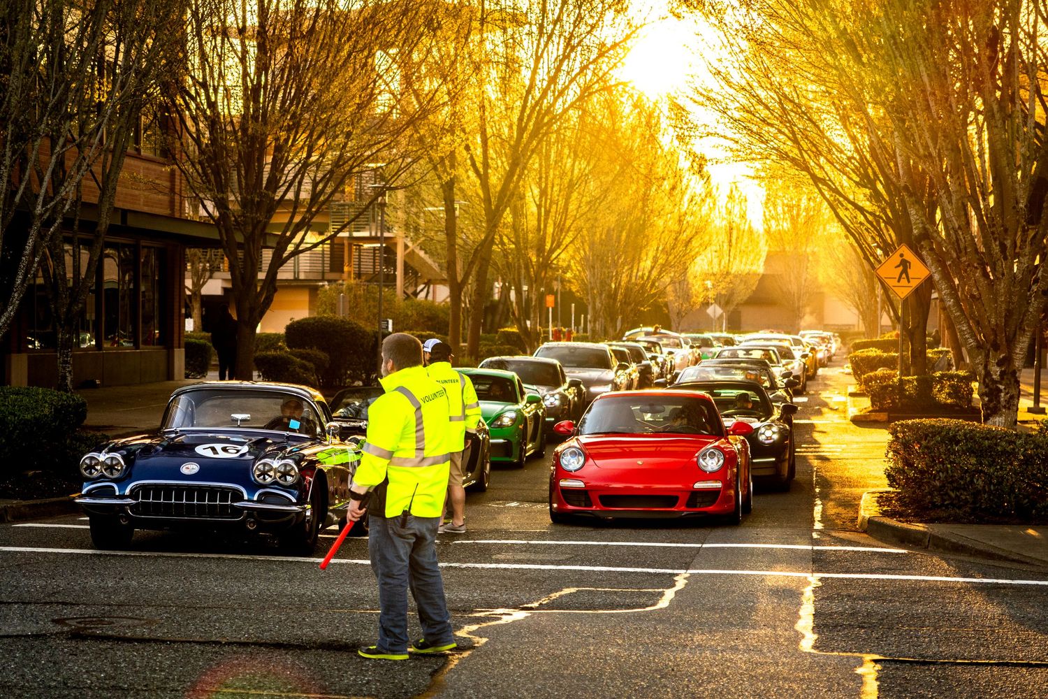 Classic cars lined up on a tree-lined street at golden hour with traffic controller in high-vis vest.