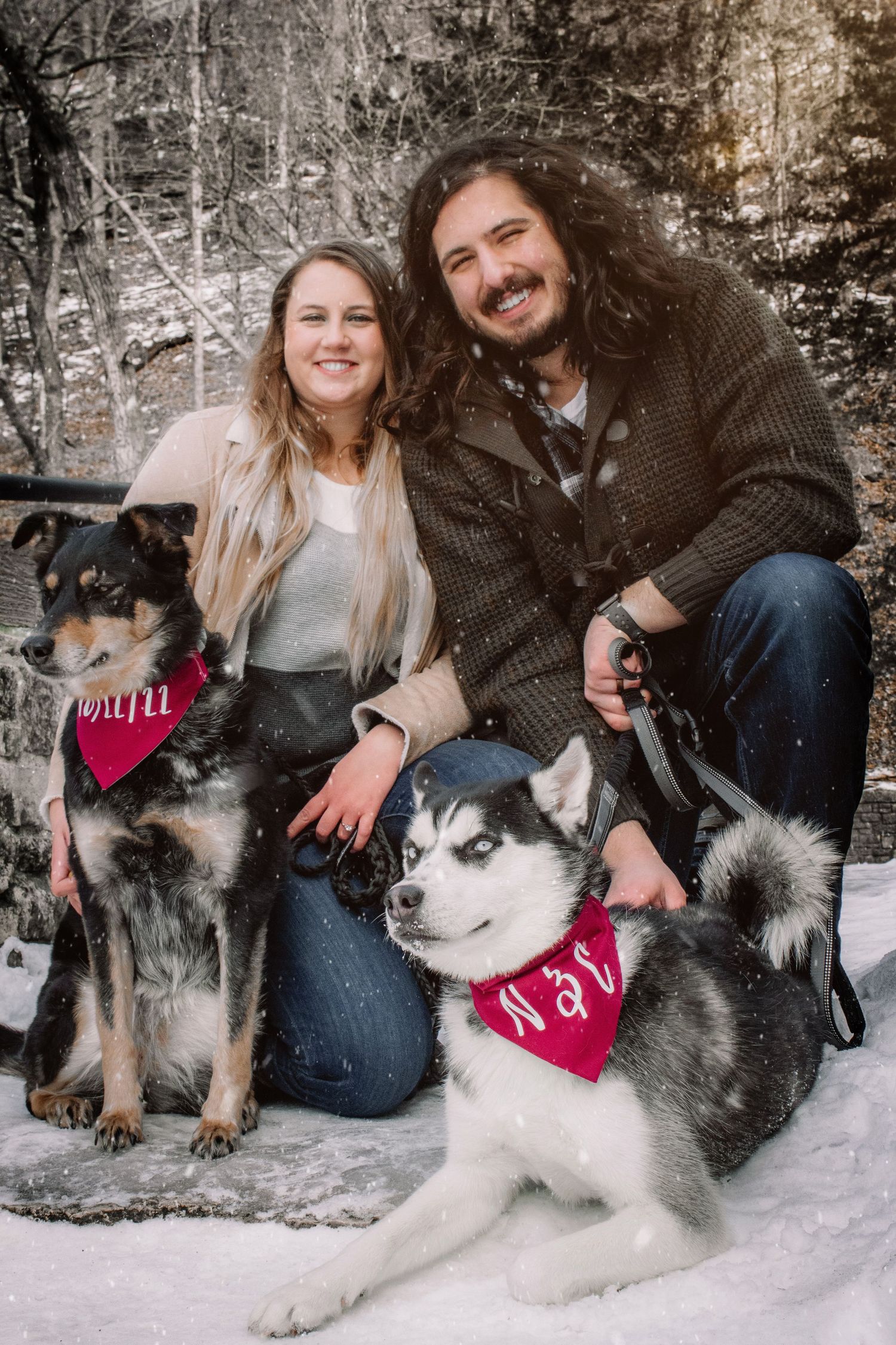 A couple poses with their two happy Husky dogs wearing red bandanas in the snow.