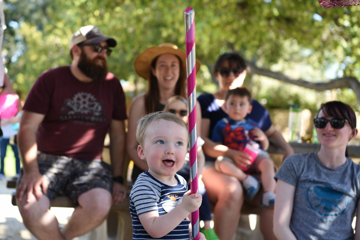 A group enjoys a summer day on a carousel ride at an outdoor amusement park or fair.