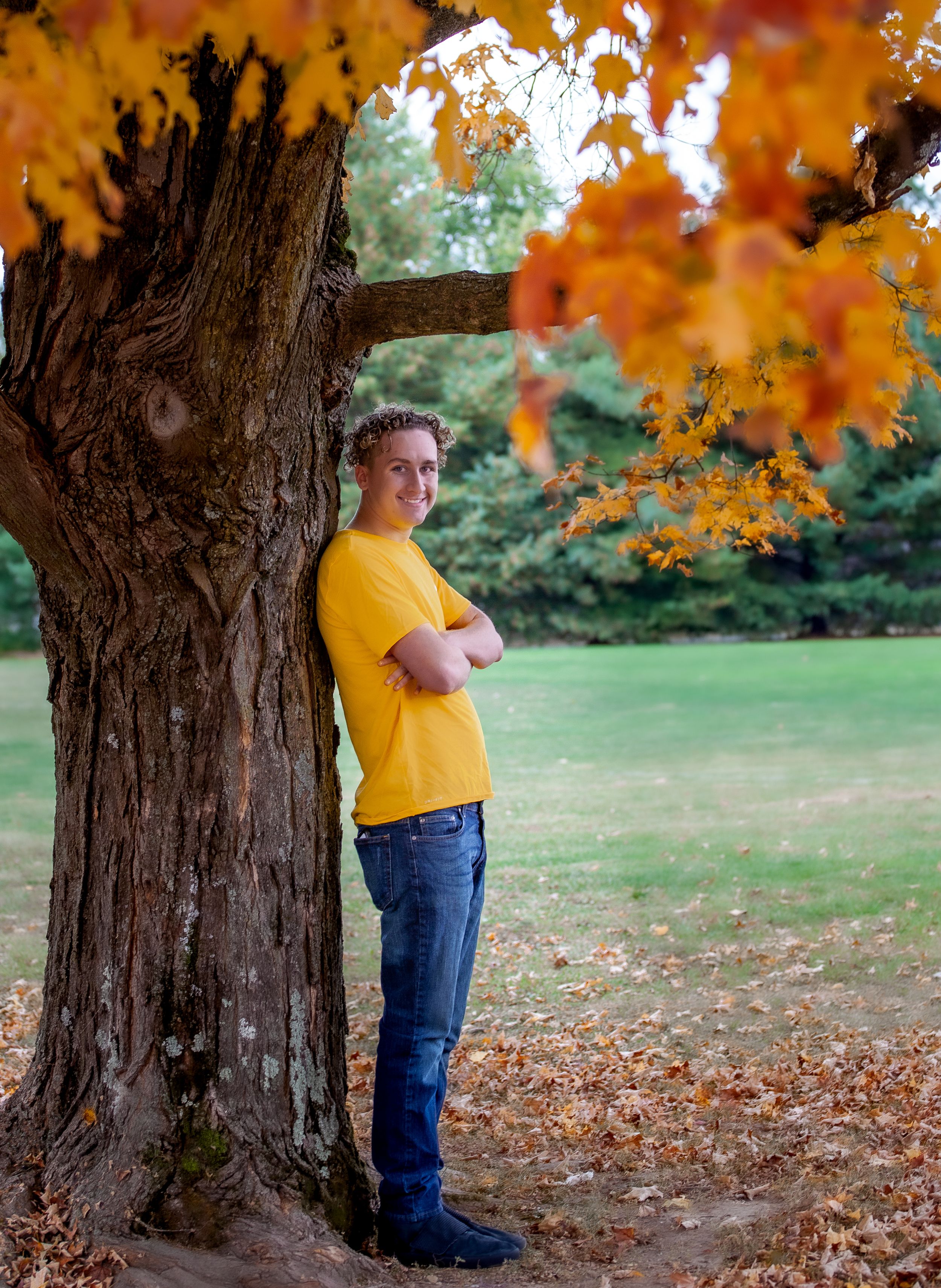 Person in yellow shirt poses by large tree trunk with vibrant fall leaves.