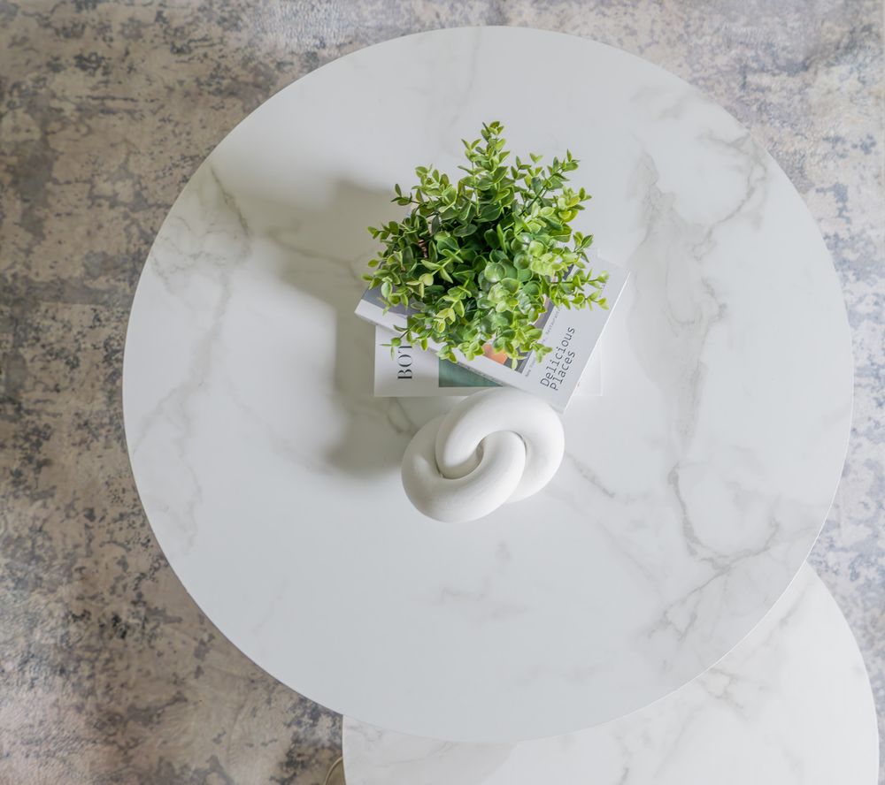 A small green plant in white pot sits on round marble table with curved white decorative accent piece.