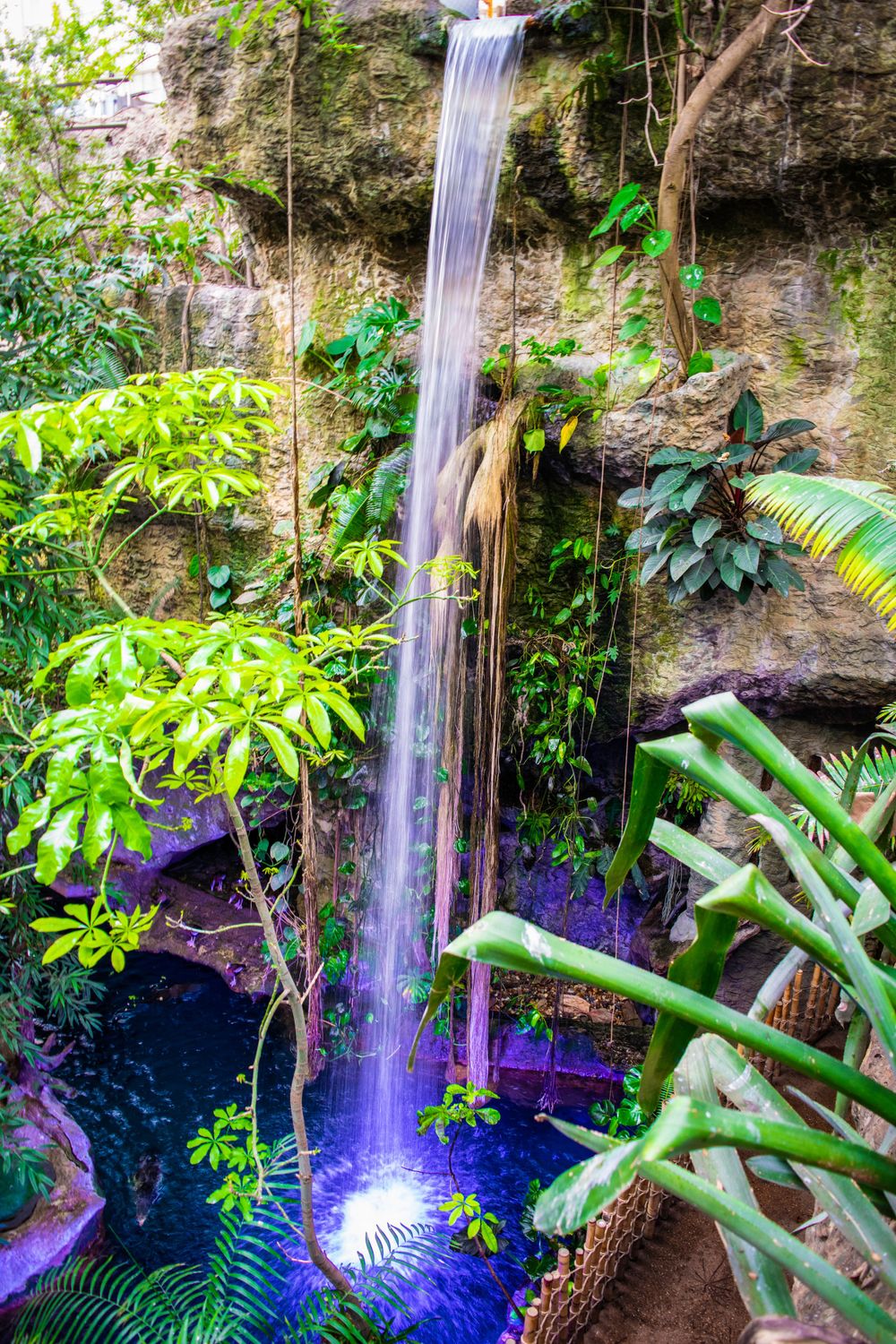 Scenic waterfall cascading down tropical rock face surrounded by lush green plants.