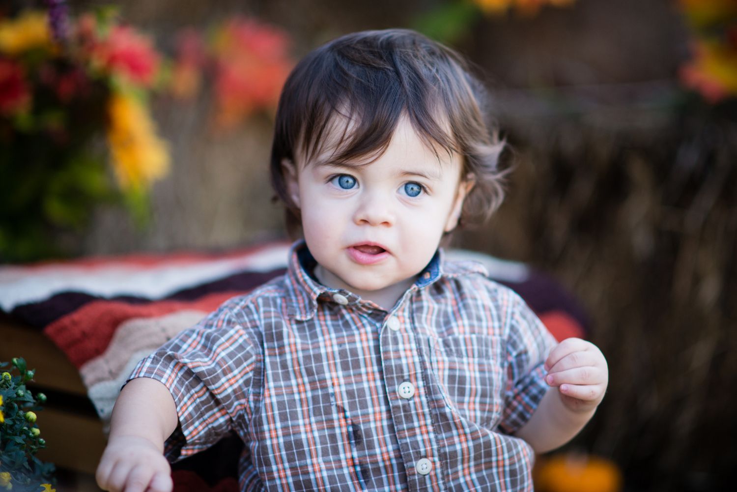 fall mini session blue eyes bokeh natural light barn in Opp Alabama milestone 6 month session