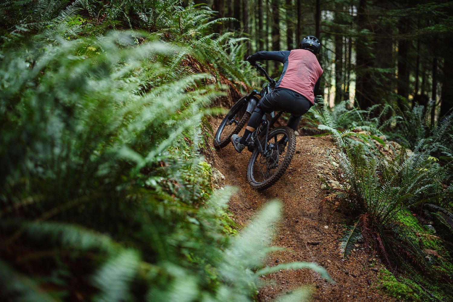 Mountain biker carving a dirt trail through lush green ferns in a dense forest wearing a red jersey.