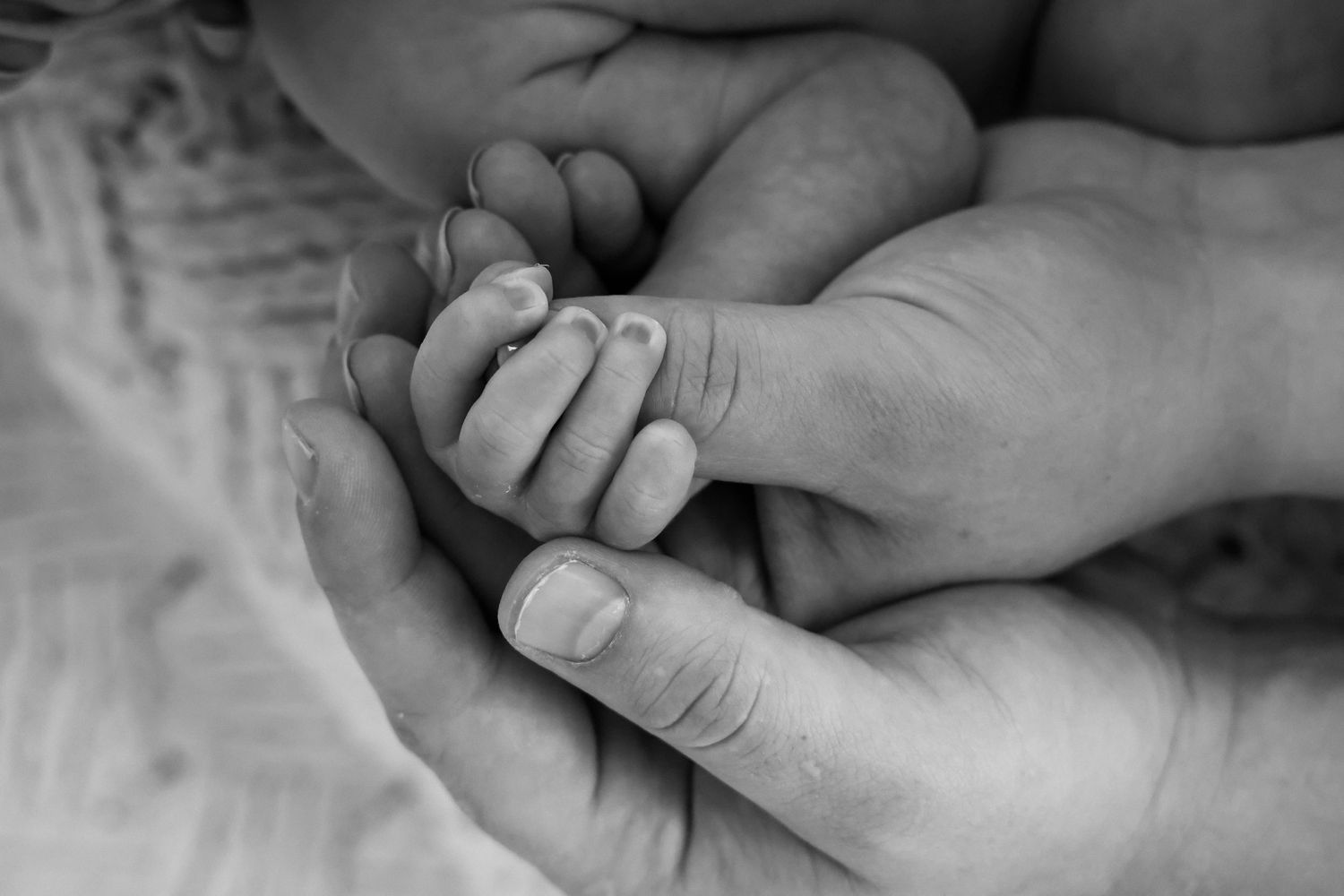Close-up black and white photo of adult hand holding tiny baby's fingers.