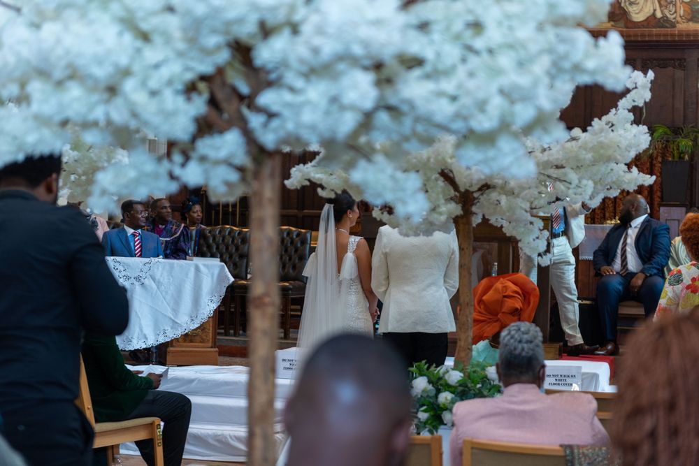 Wedding ceremony setup under blooming cherry blossom trees with white chairs and decor.