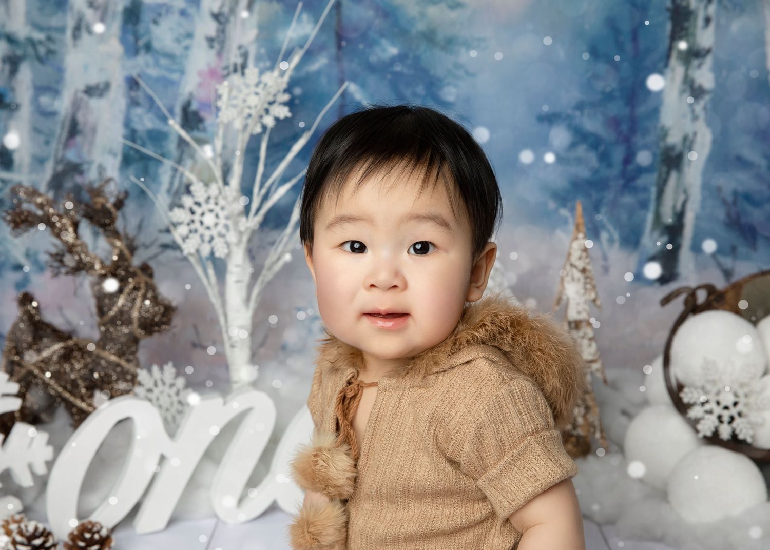 Winter wonderland themed photo setup with snowy birch trees and crystal snowflakes.