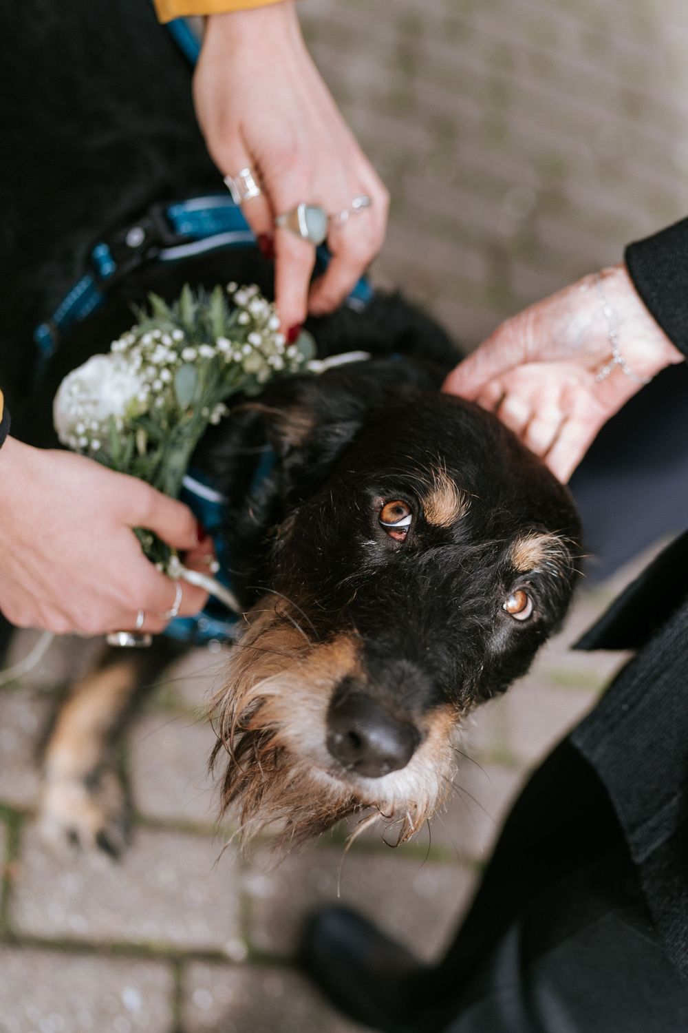 London Hackney Town Hall Wedding Photography