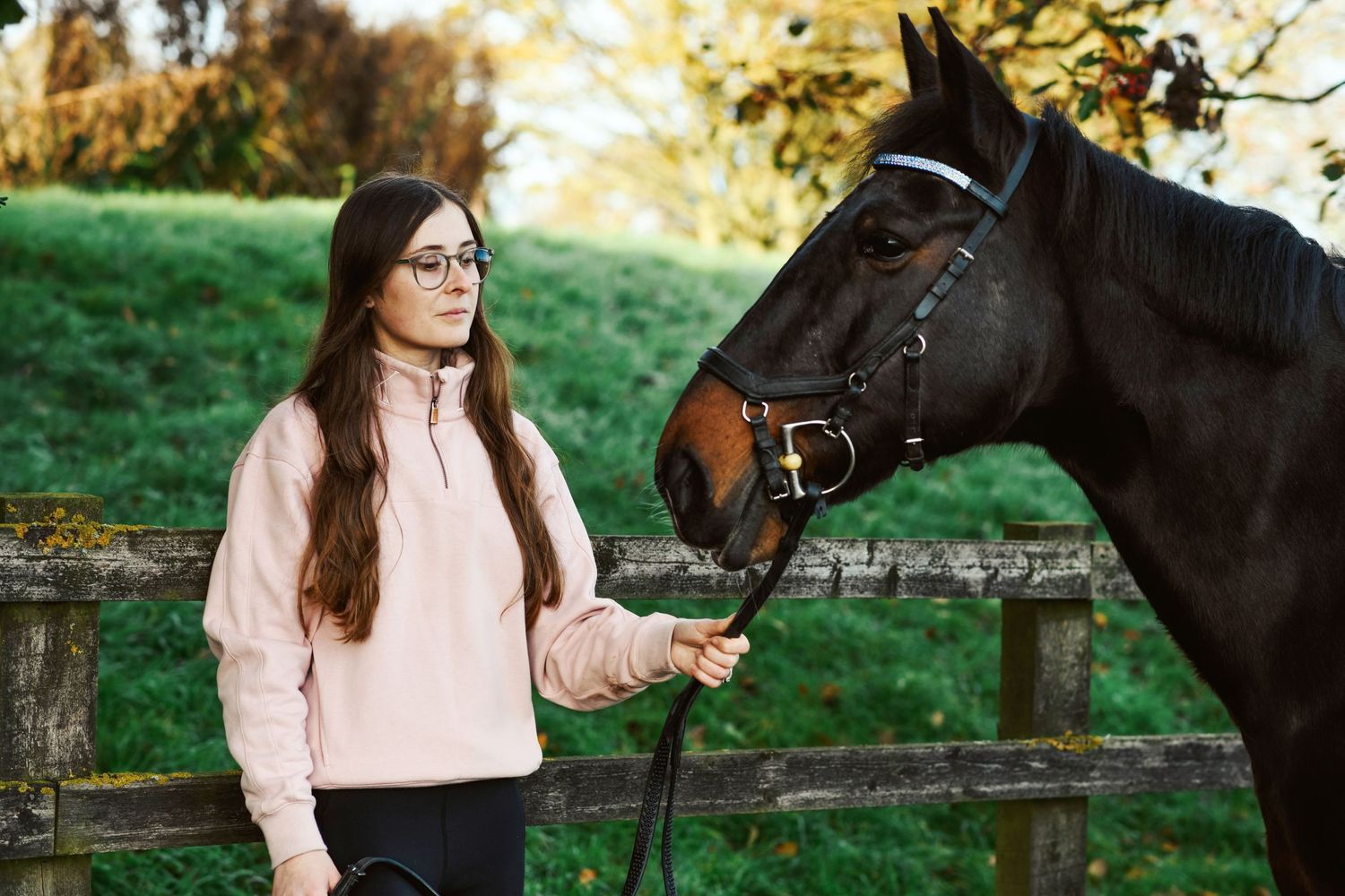 A beautiful dark horse standing by a wooden fence in autumn scenery.