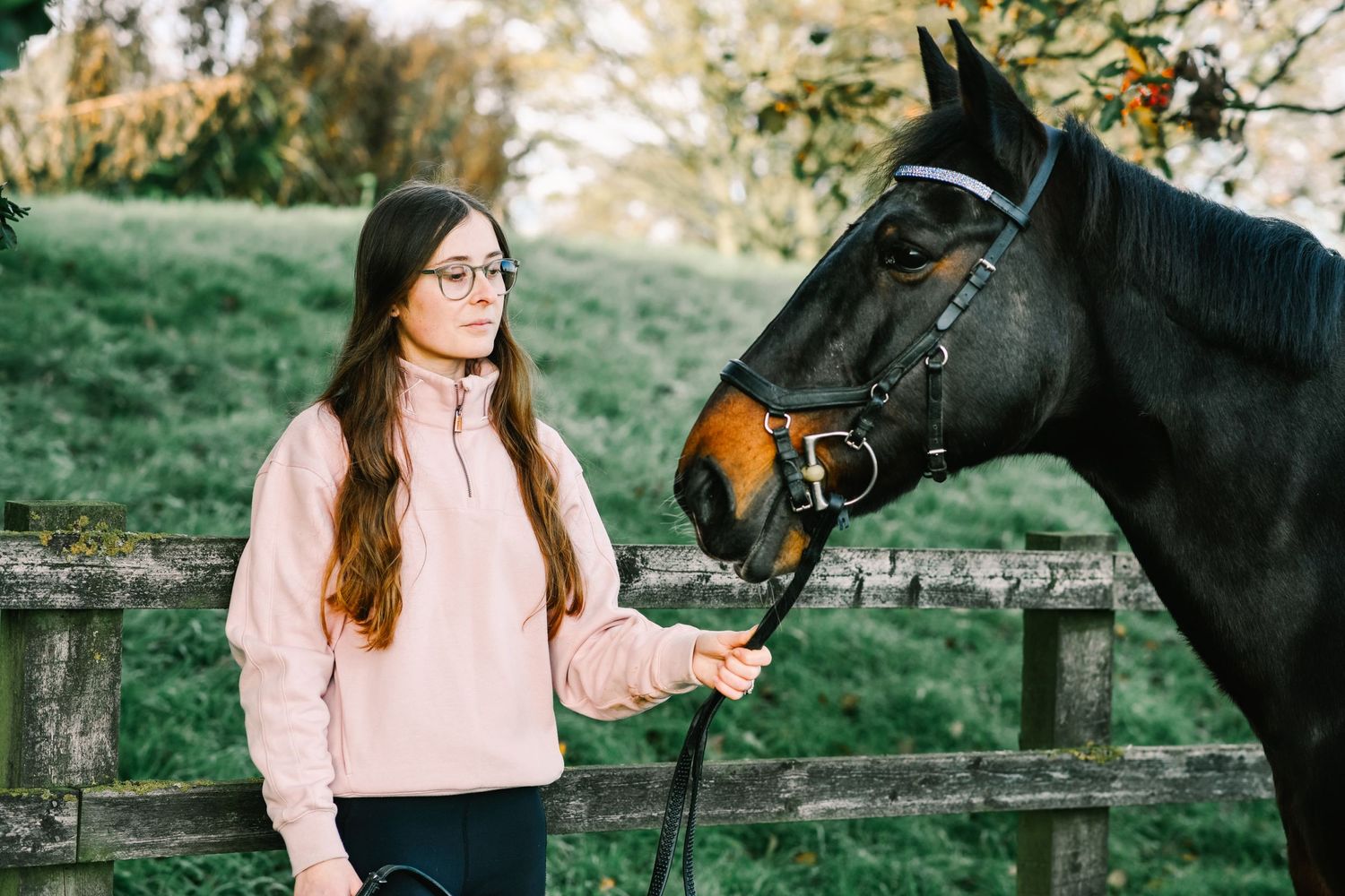 Dark horse and companion sharing a moment by wooden fence in autumn setting.