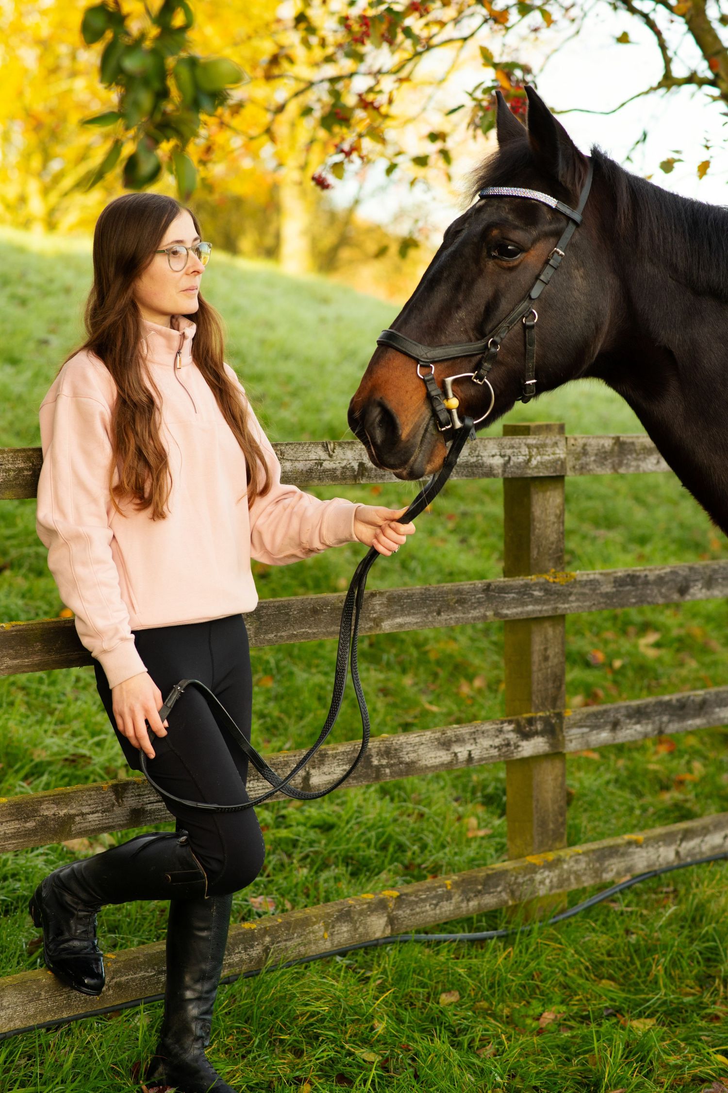 Brown horse and rider standing by wooden fence during golden autumn sunset.