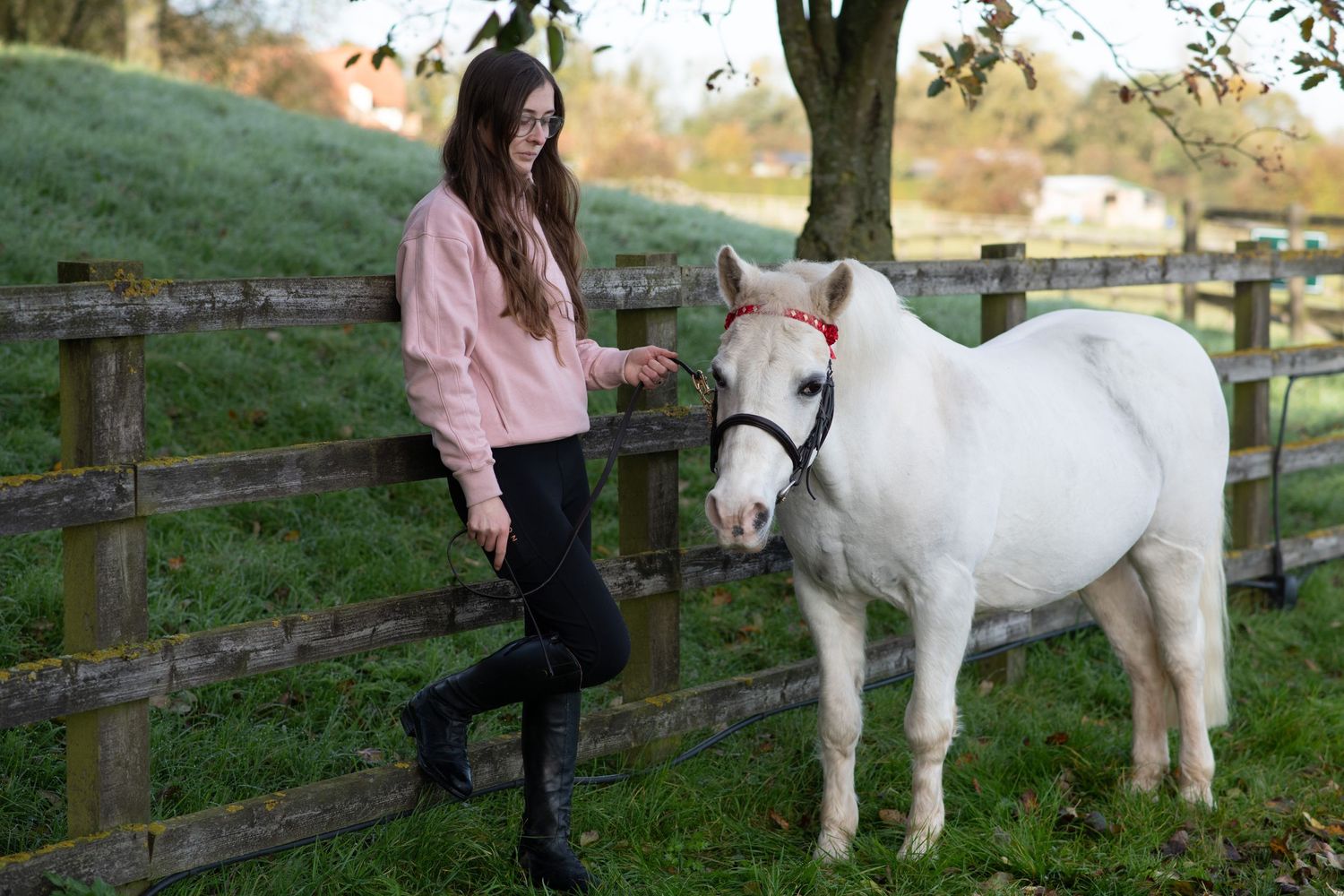 White pony standing calmly by wooden fence in countryside setting.