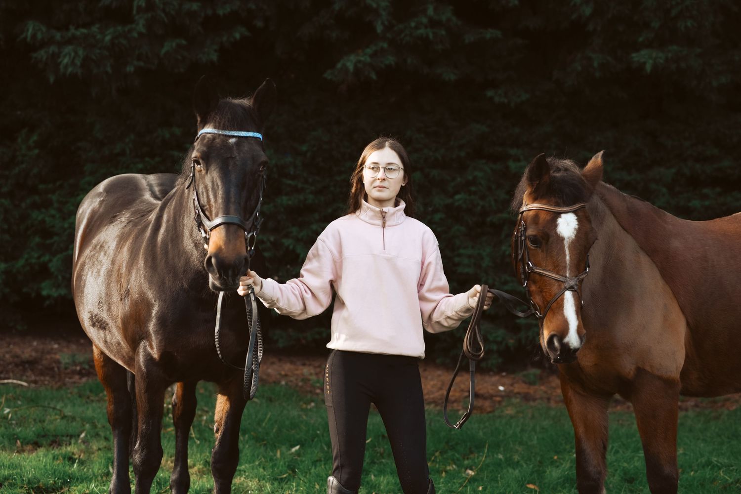 Three horses - two brown and one bay - stand together in a field.