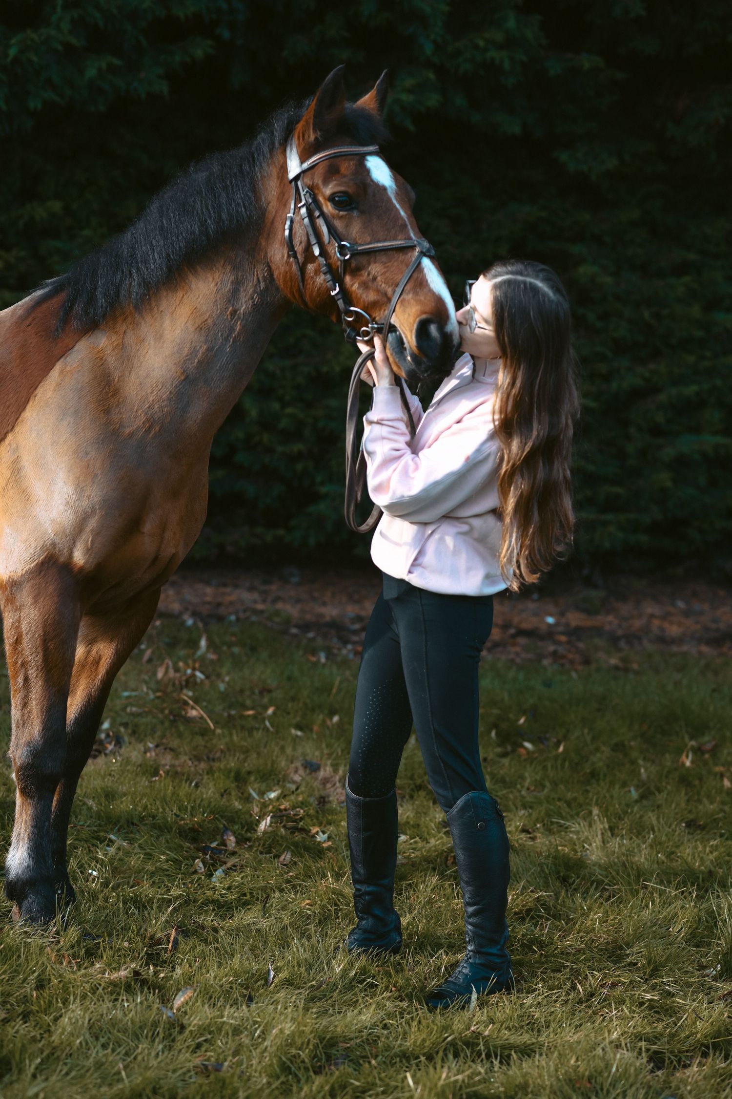 A bay horse and person share an affectionate moment in an outdoor setting.