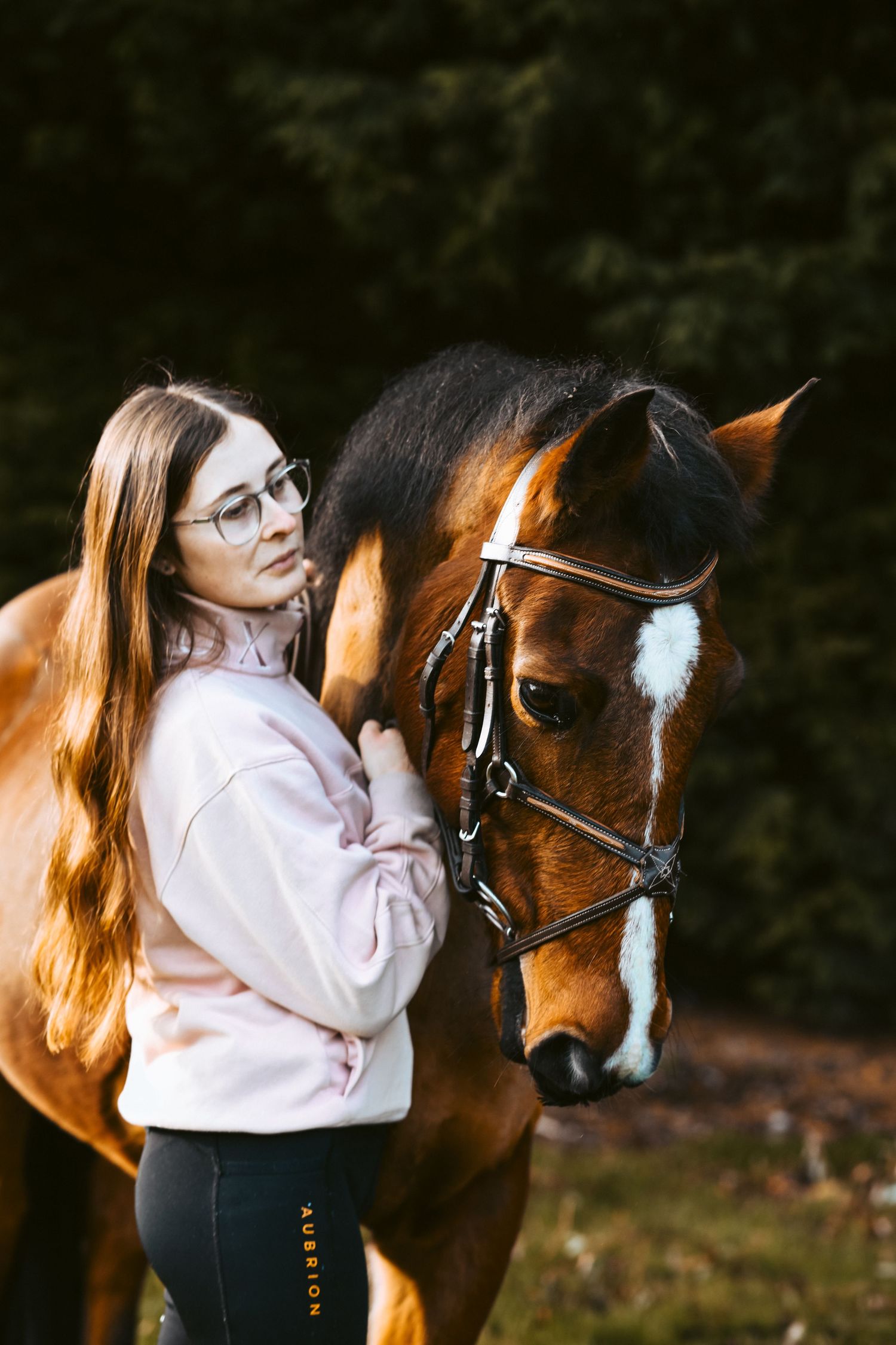 A bay horse with white blaze wears a leather bridle in autumn setting.