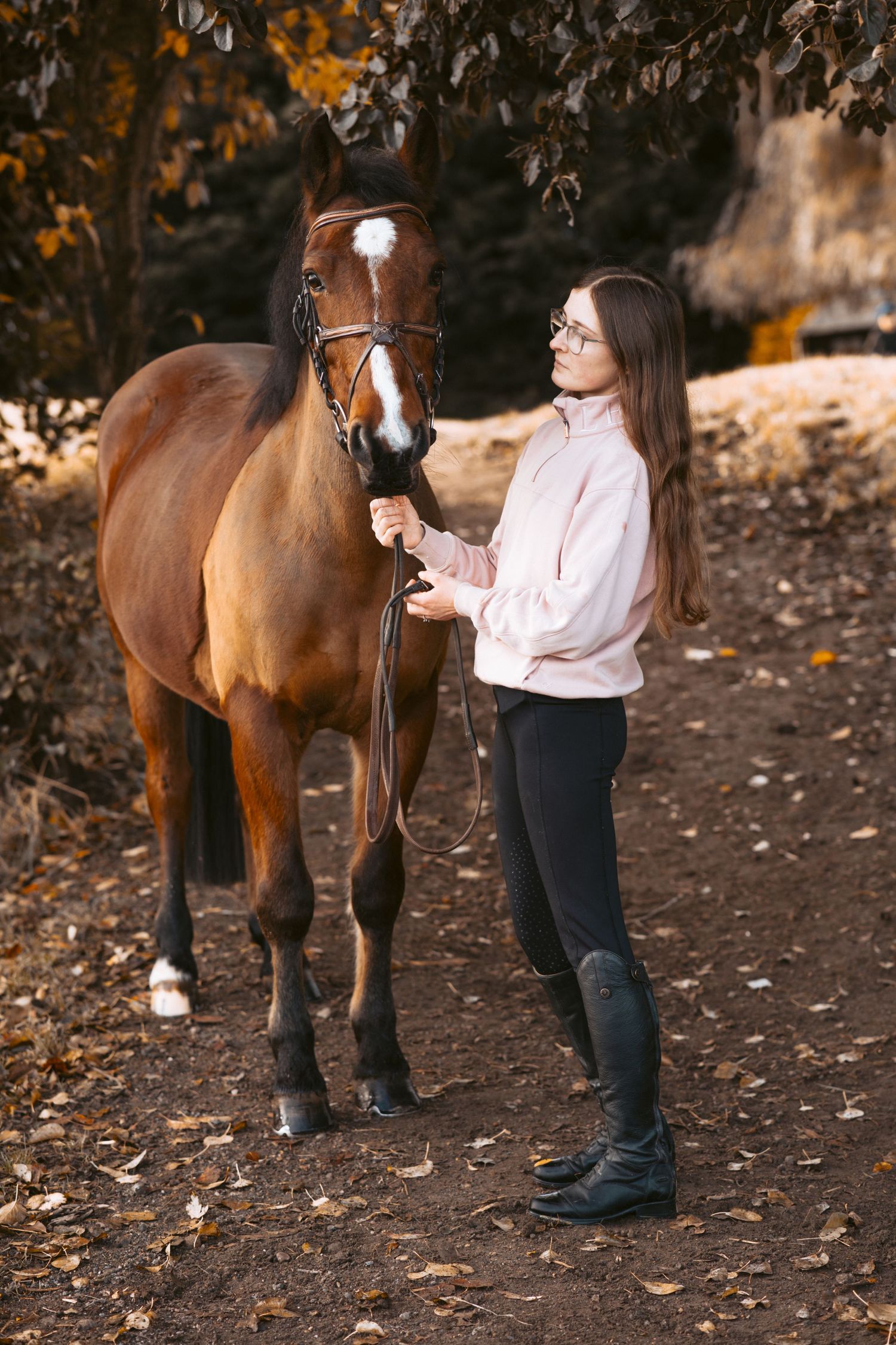Bay horse stands attentively on dirt path surrounded by autumn foliage.