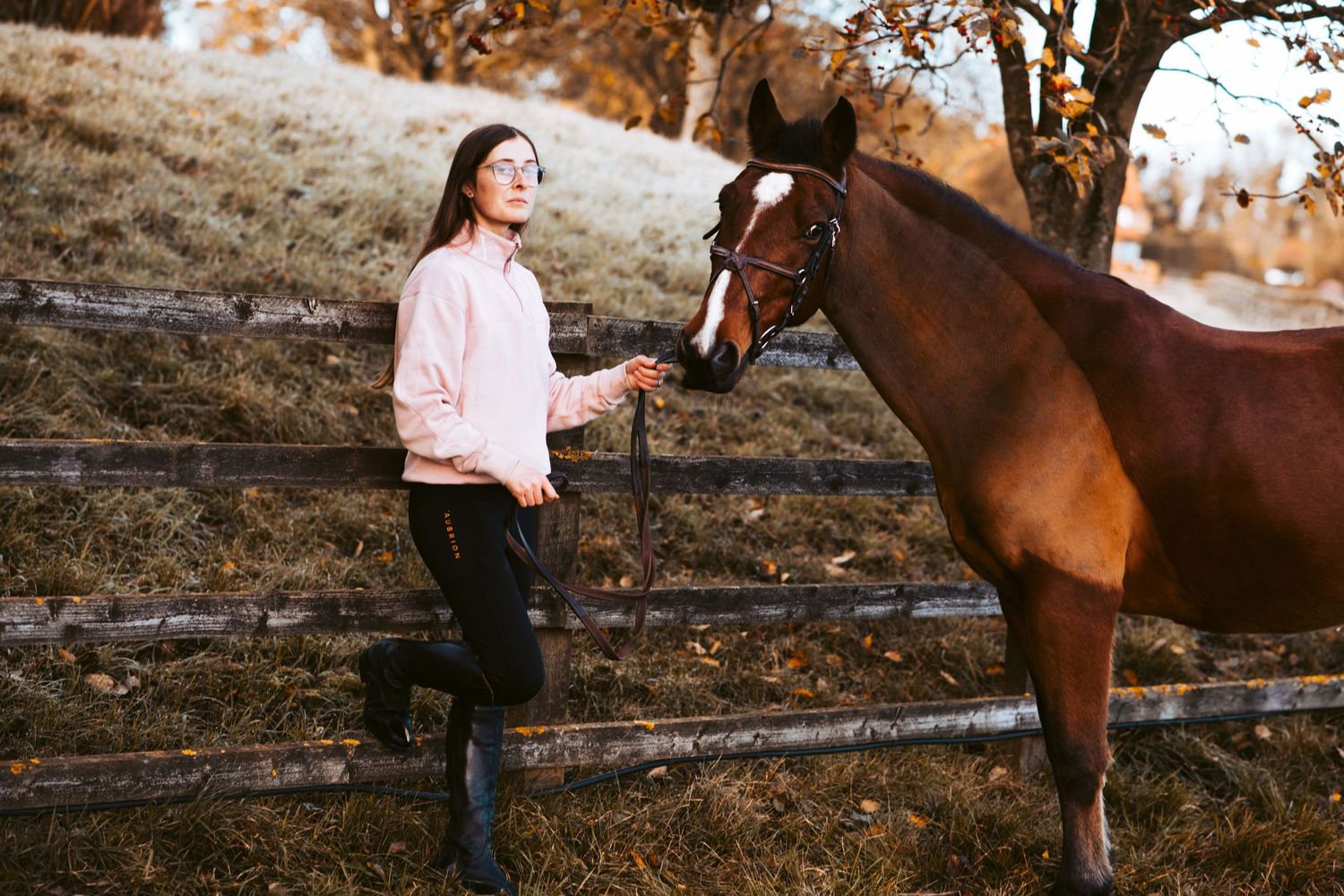 Bay horse and handler stand together near rustic wooden fence at sunset.