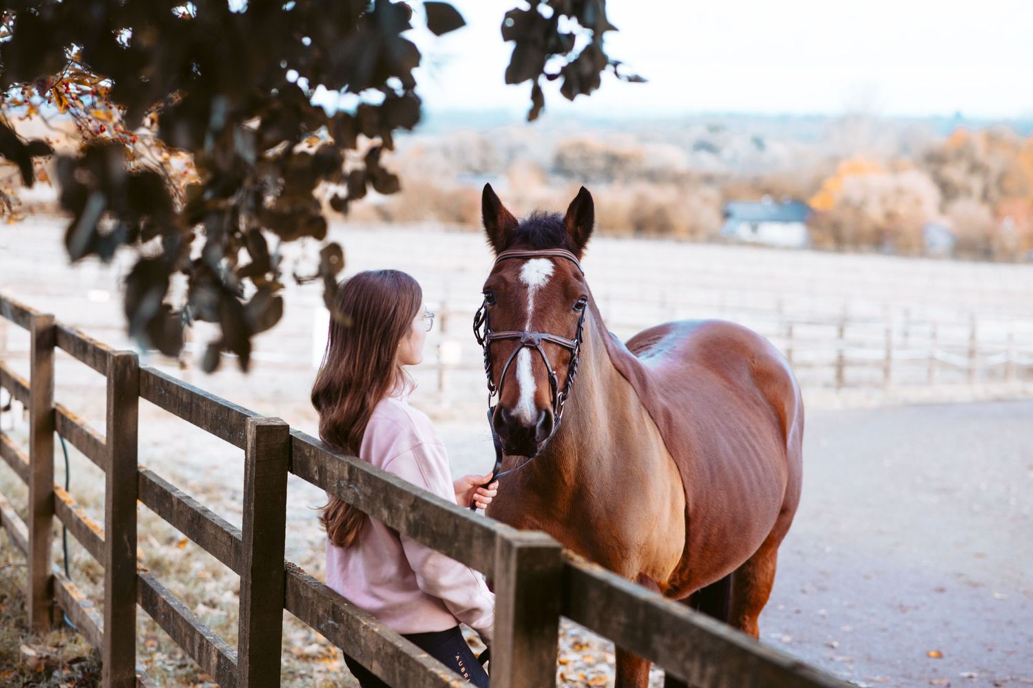 Horse and handler share a quiet moment by wooden fence with scenic countryside view.