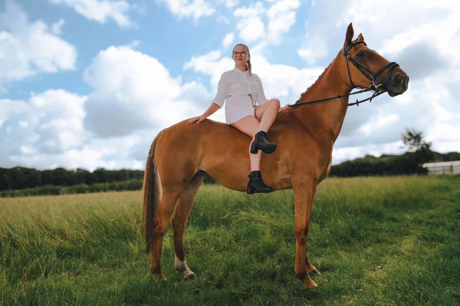 Chestnut colored horse in grassy field against blue summer sky.