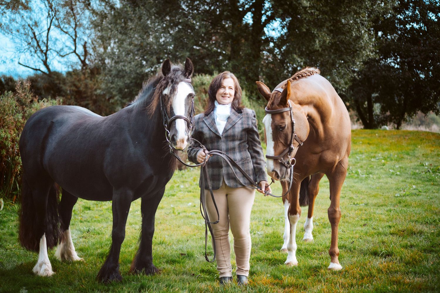 Two horses, one black and one chestnut, with their handler in casual attire on grass.