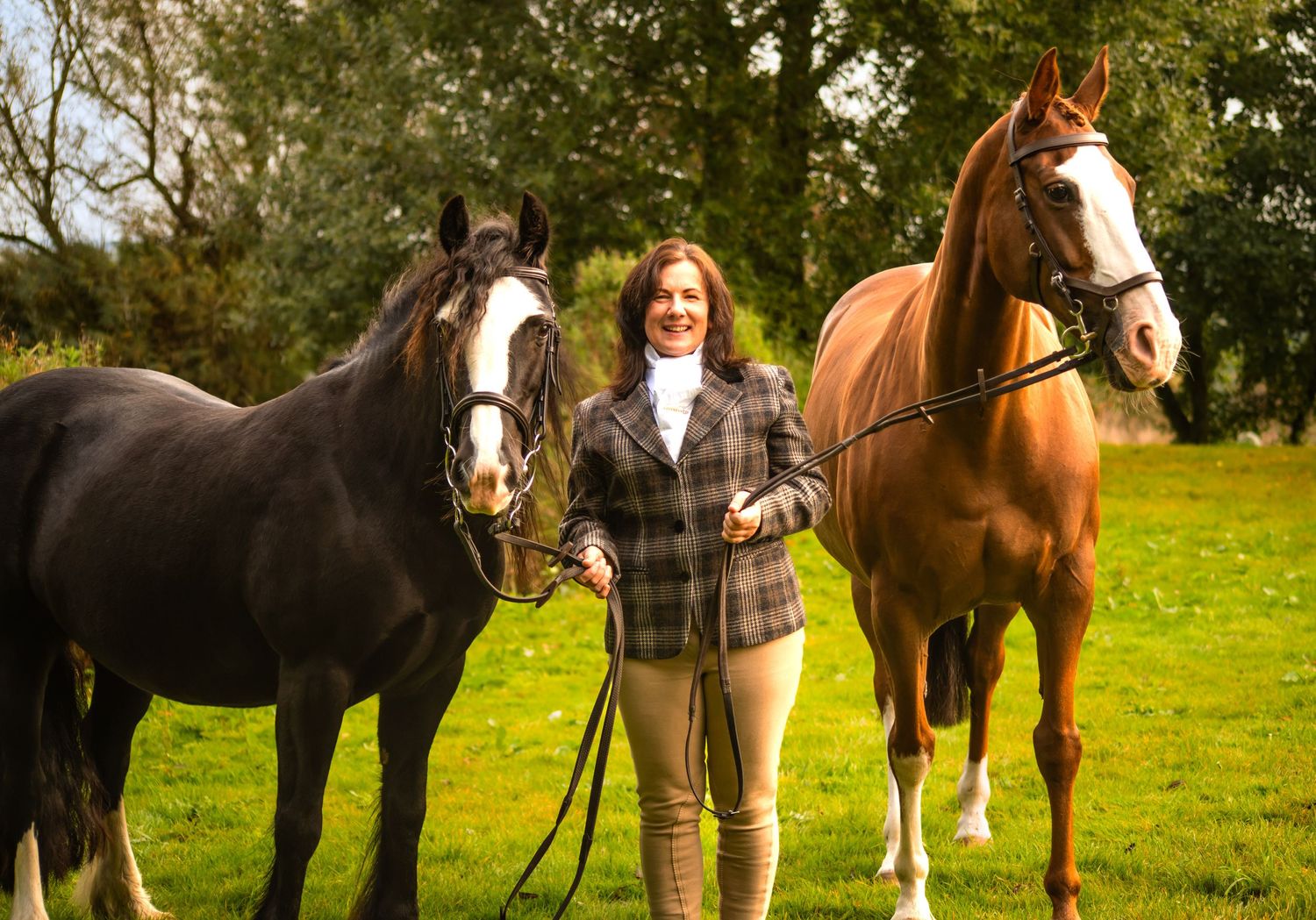 Two horses, one black and one chestnut, with their handler in a sunny meadow.