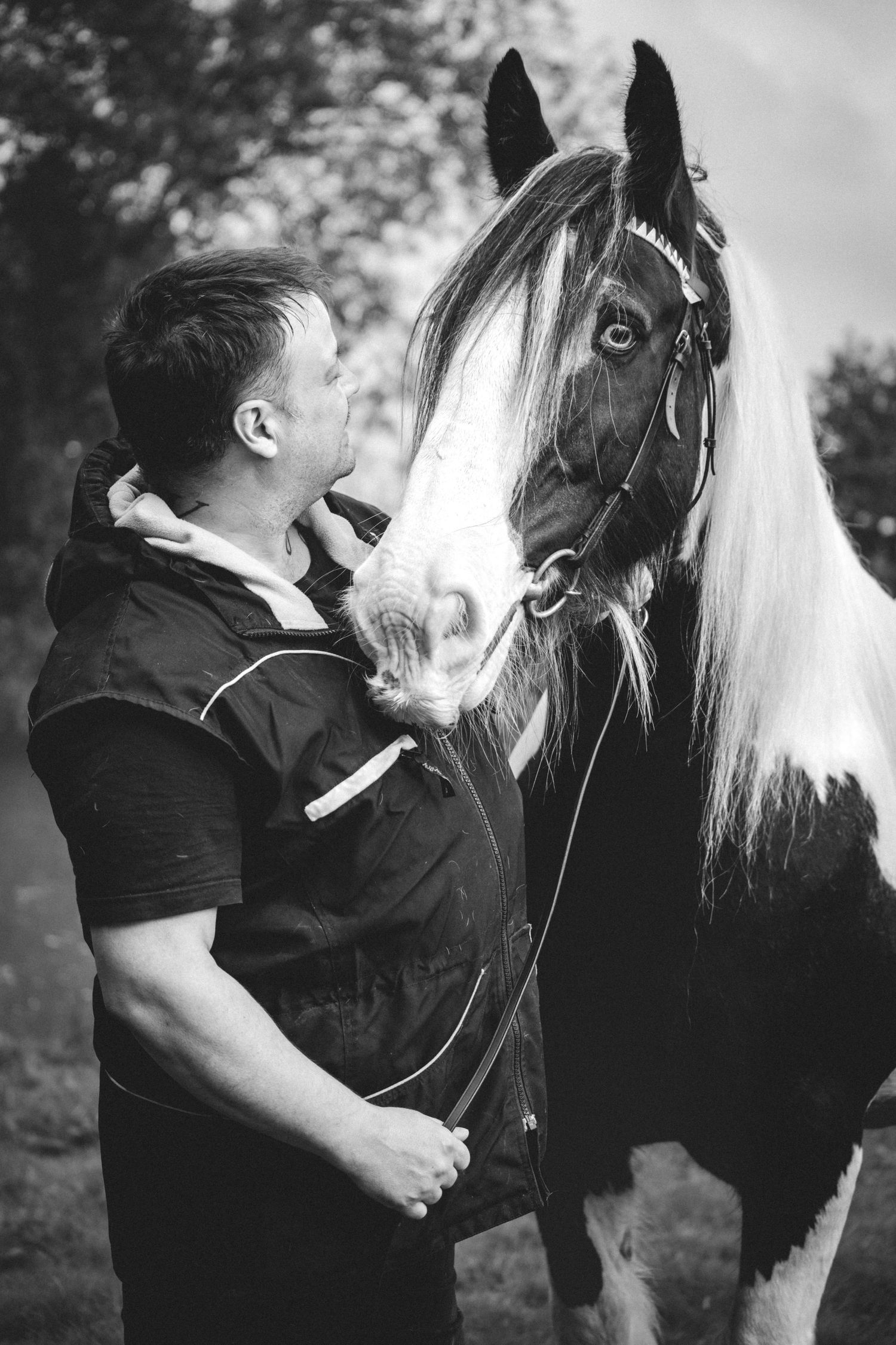 Dramatic black and white portrait of a horse with distinctive white face markings and bridle.