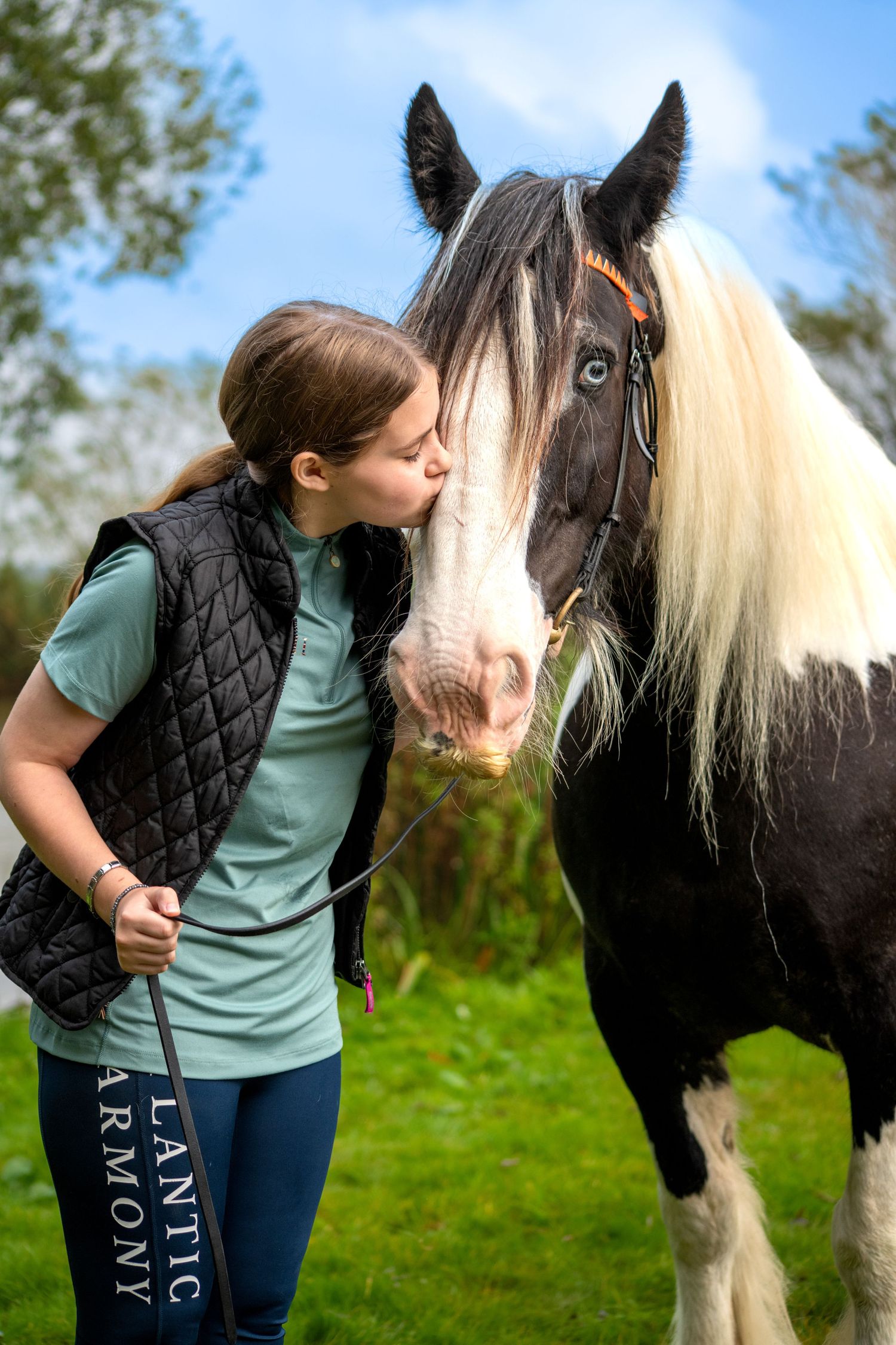Black and white horse with striking facial markings and long mane in a green outdoor setting.