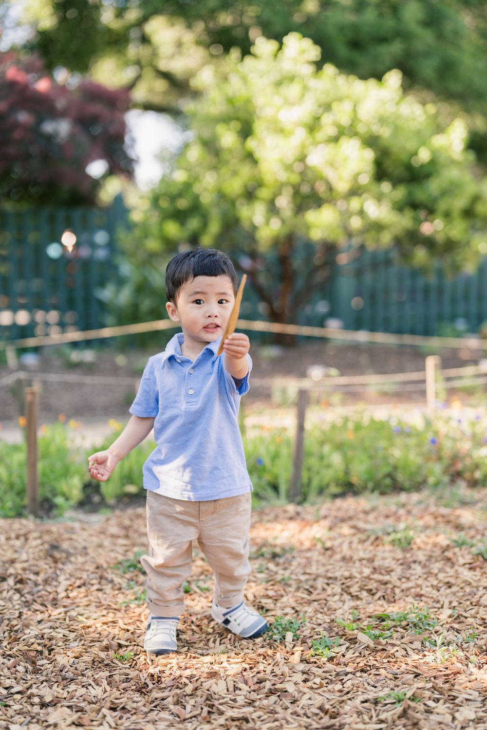 bay-area-family-photographer-palo-alto-gamble-garden