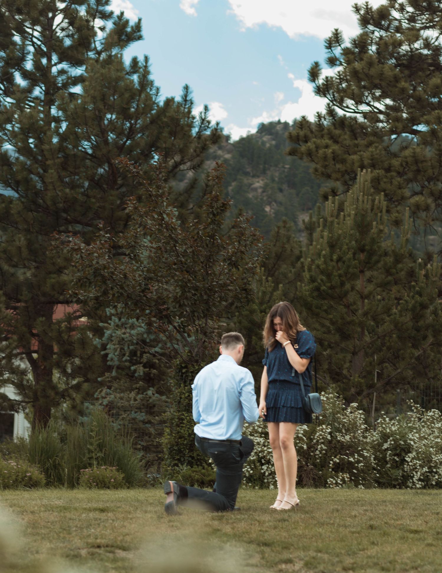 A surprise proposal moment in a mountain setting with pine trees and blue skies.