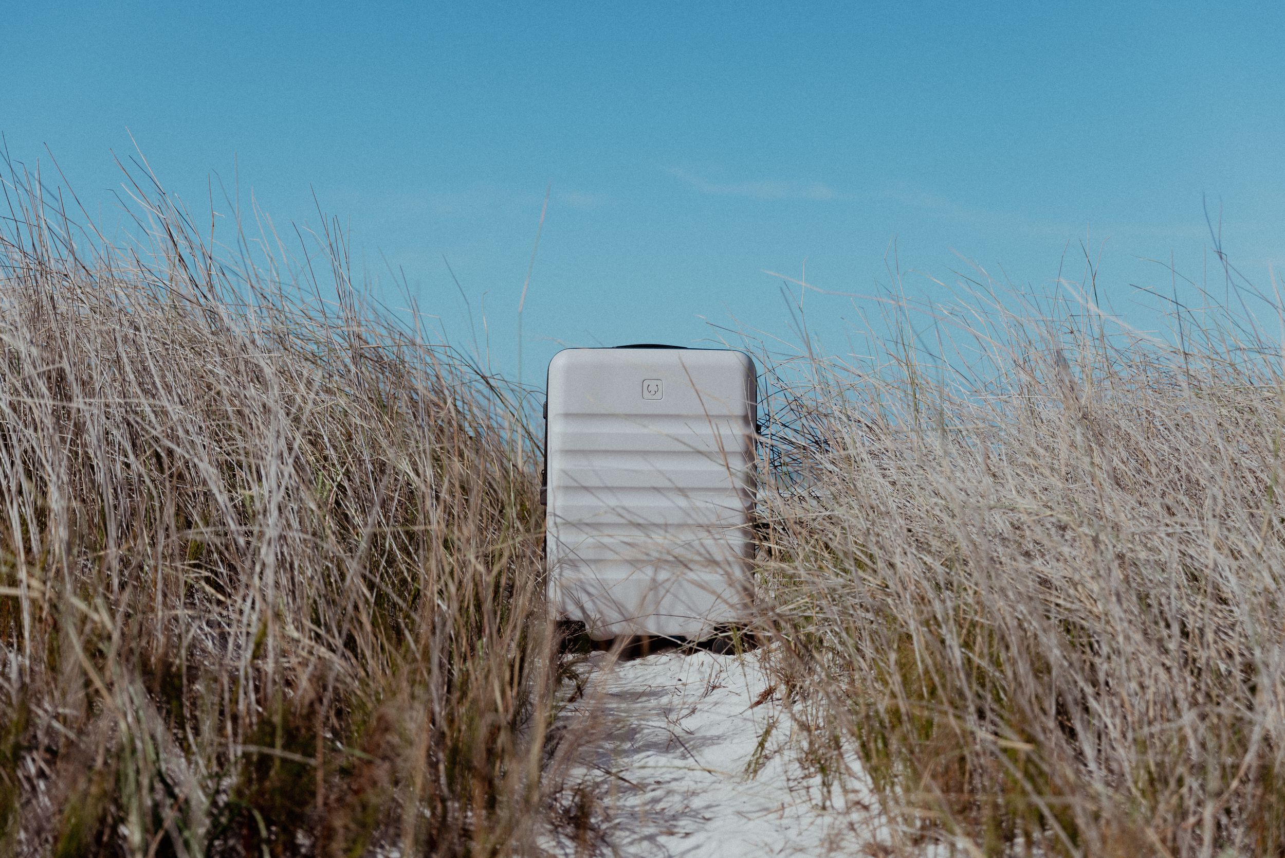 Gray suitcase on pathway through tall dry grass under blue sky.