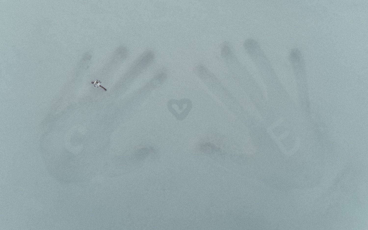 Two handprints and a heart shape pressed into a snowy or frosty surface creating a romantic winter impression.