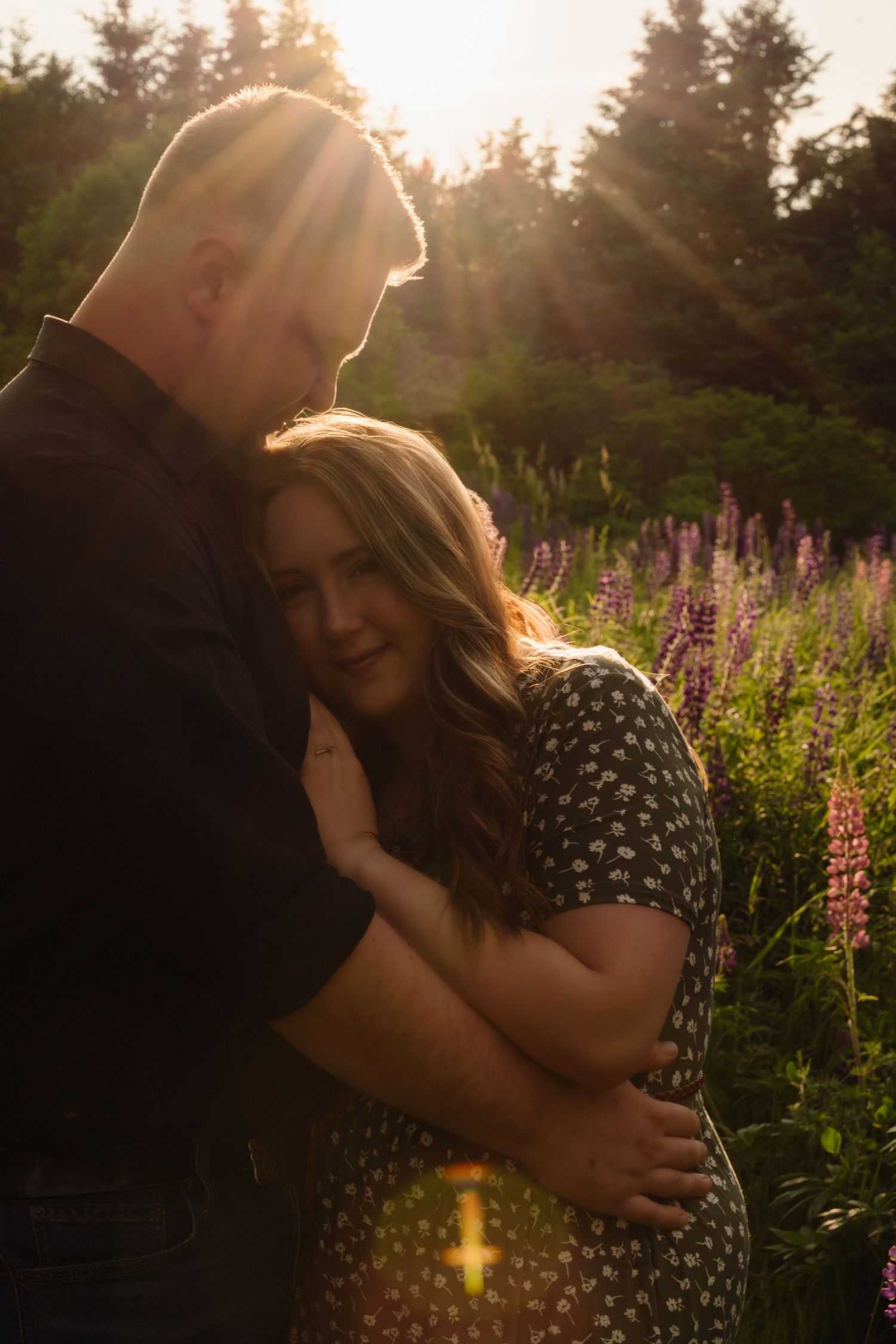 A romantic couple embraces in a field of purple lupine flowers at sunset with sunflare and evergreen trees in background.