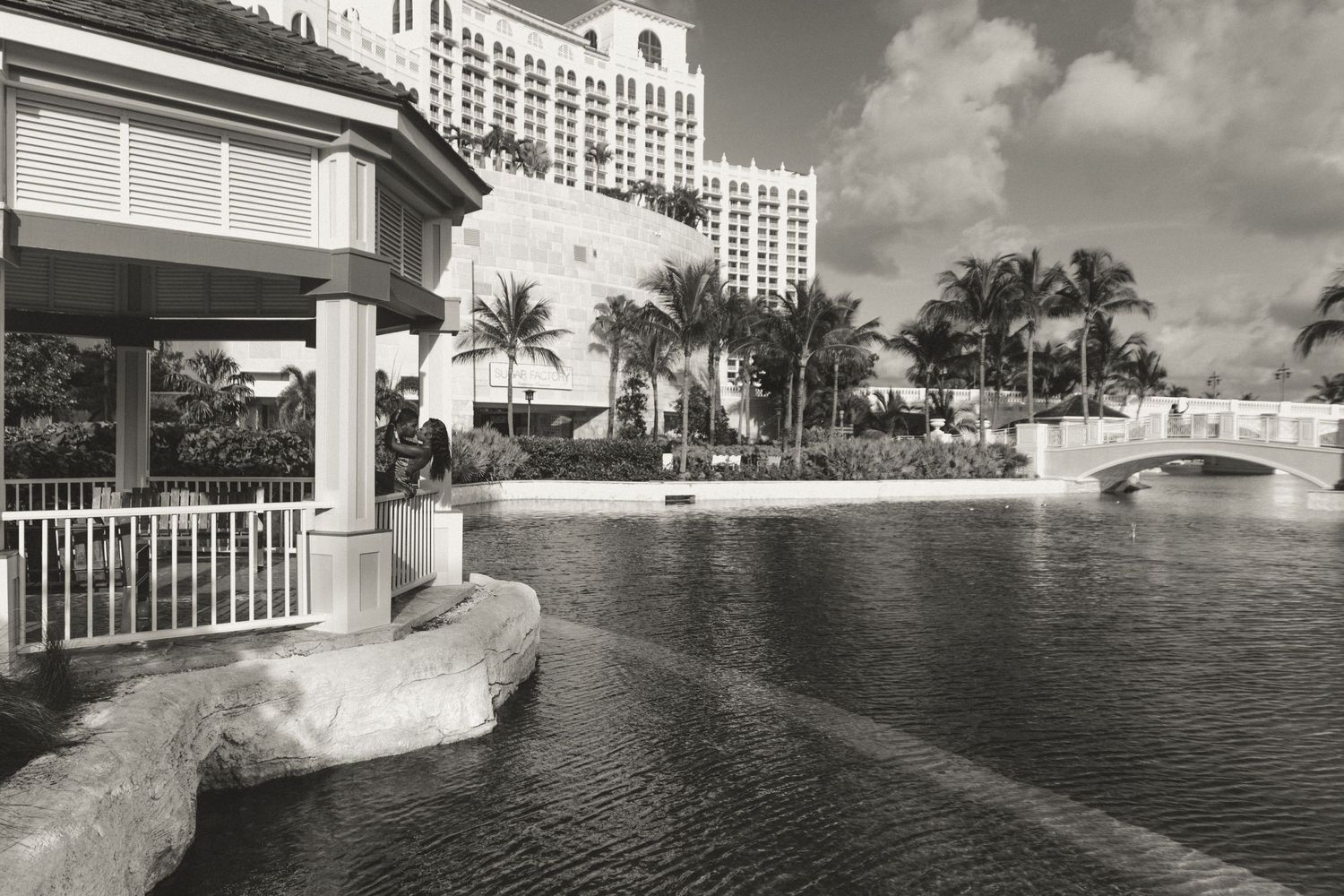 Black and white waterfront scene with palm trees and resort buildings.