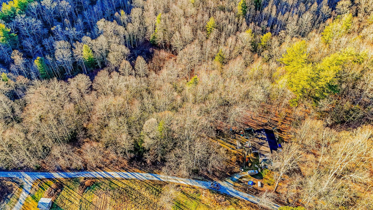 Aerial view of a winding road through bare winter trees in a dense forest landscape.