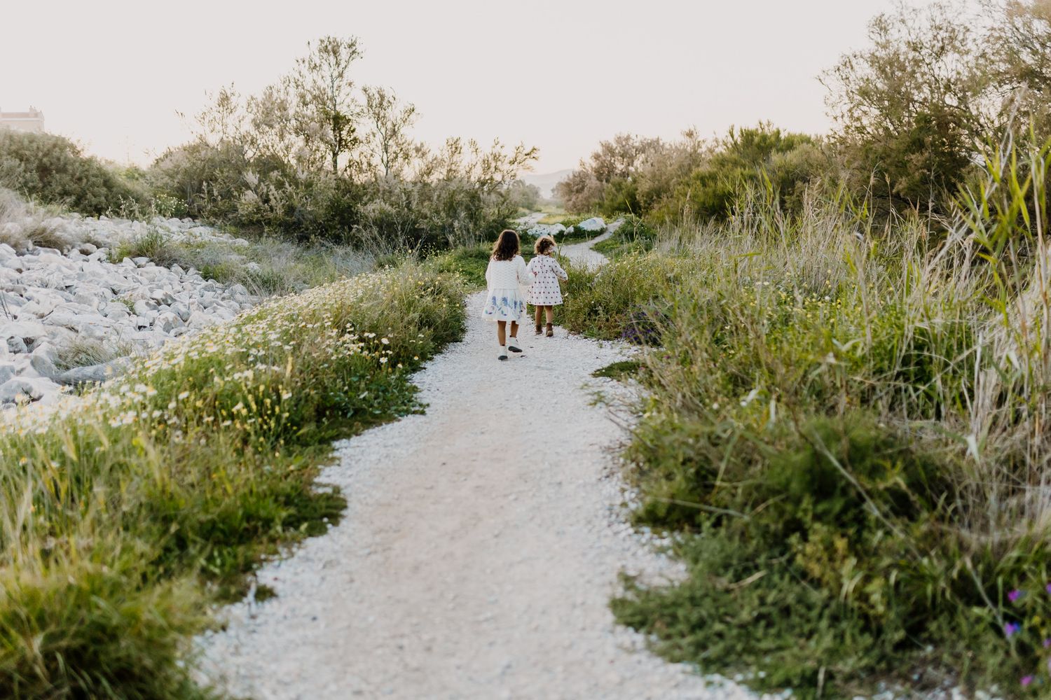 The two sisters walking one after the other in a trail surrounded by flowers. Color photo