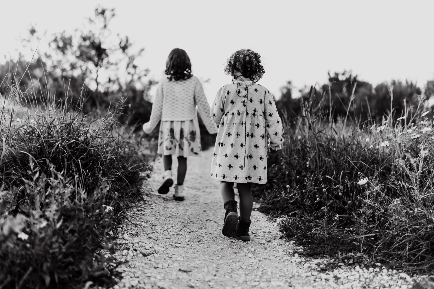 The two sisters walking one after the other in a trail surrounded by flowers. Black and white photo