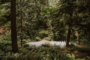 A serene forest wedding venue with white chairs set up among tall trees.