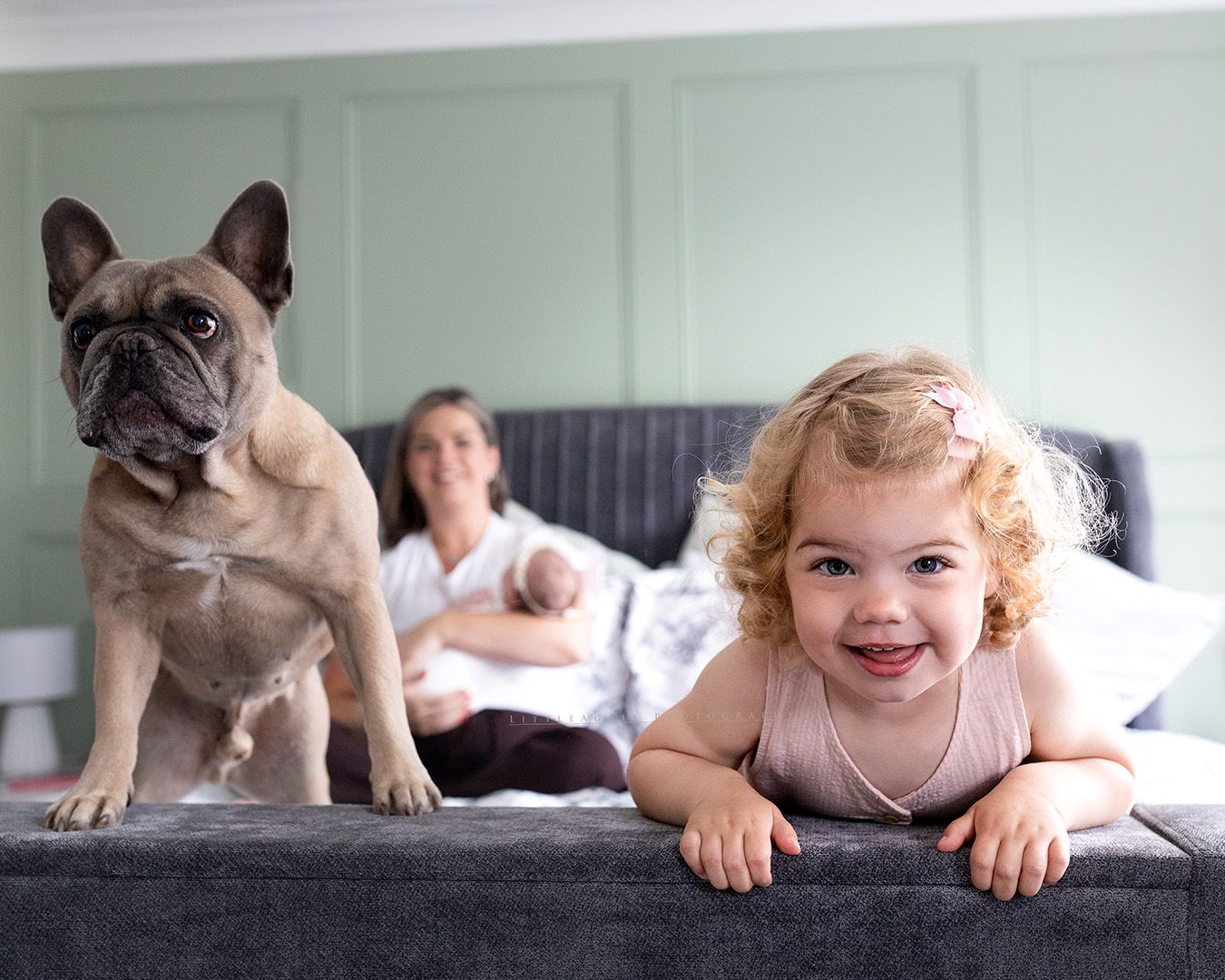 A French Bulldog sits on a gray couch next to young child while someone rests in background.