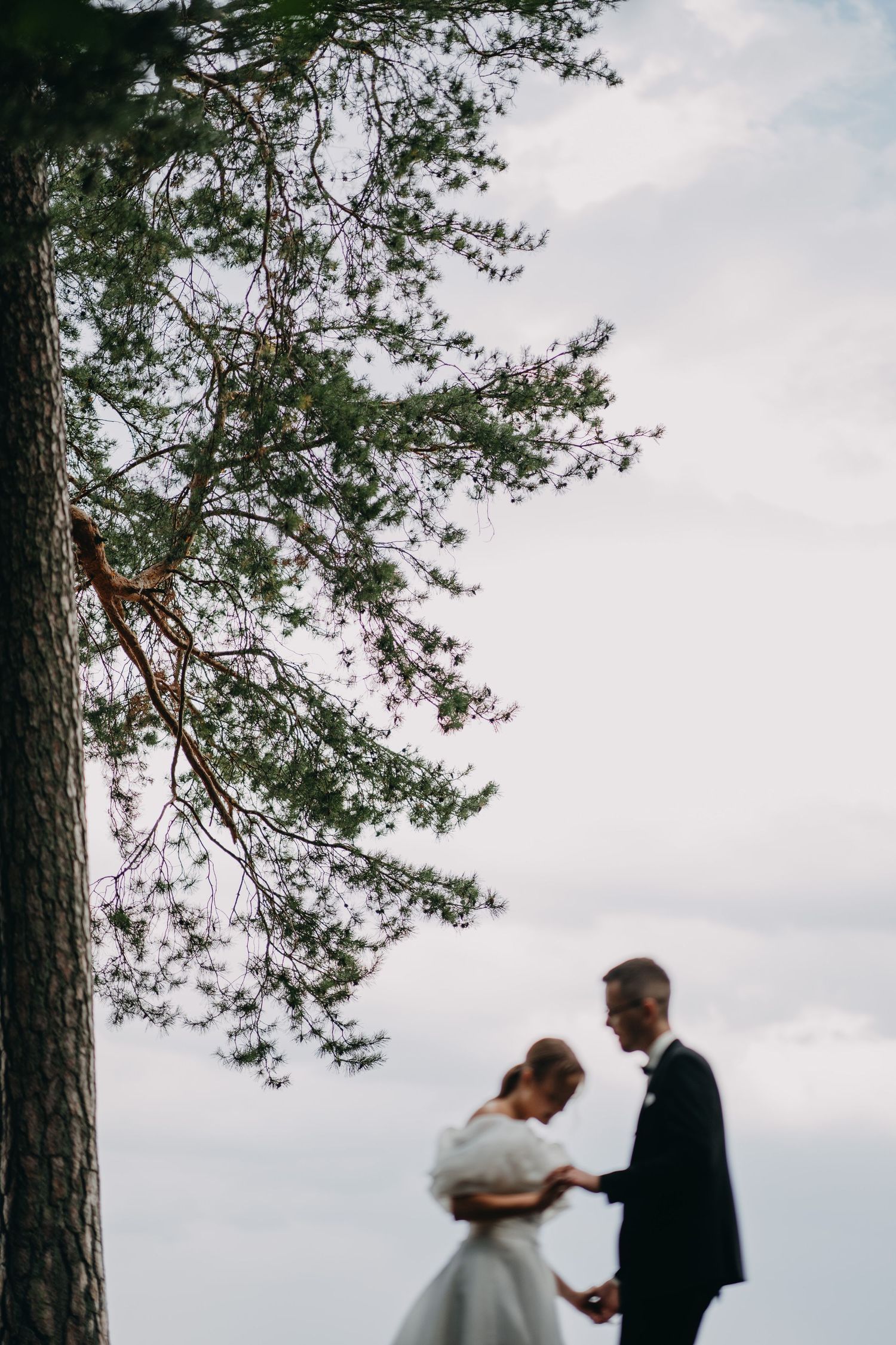Couple shares an intimate moment under tall pine trees during their wedding ceremony.