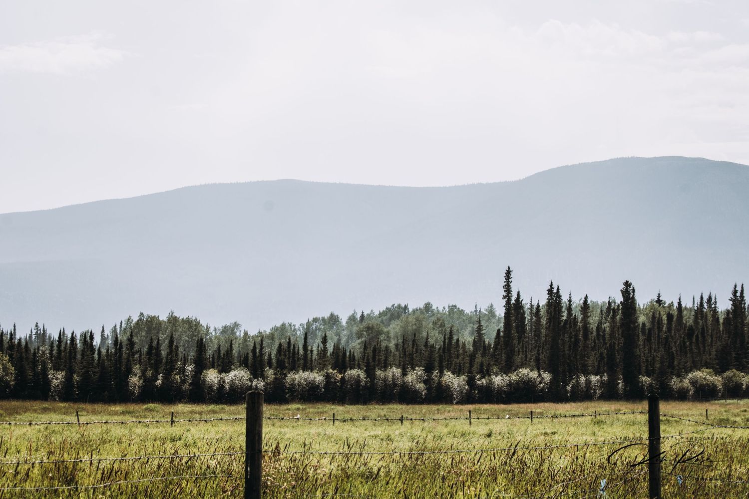 Beautiful scenic photography of Pink Mountain in Northern British Columbia