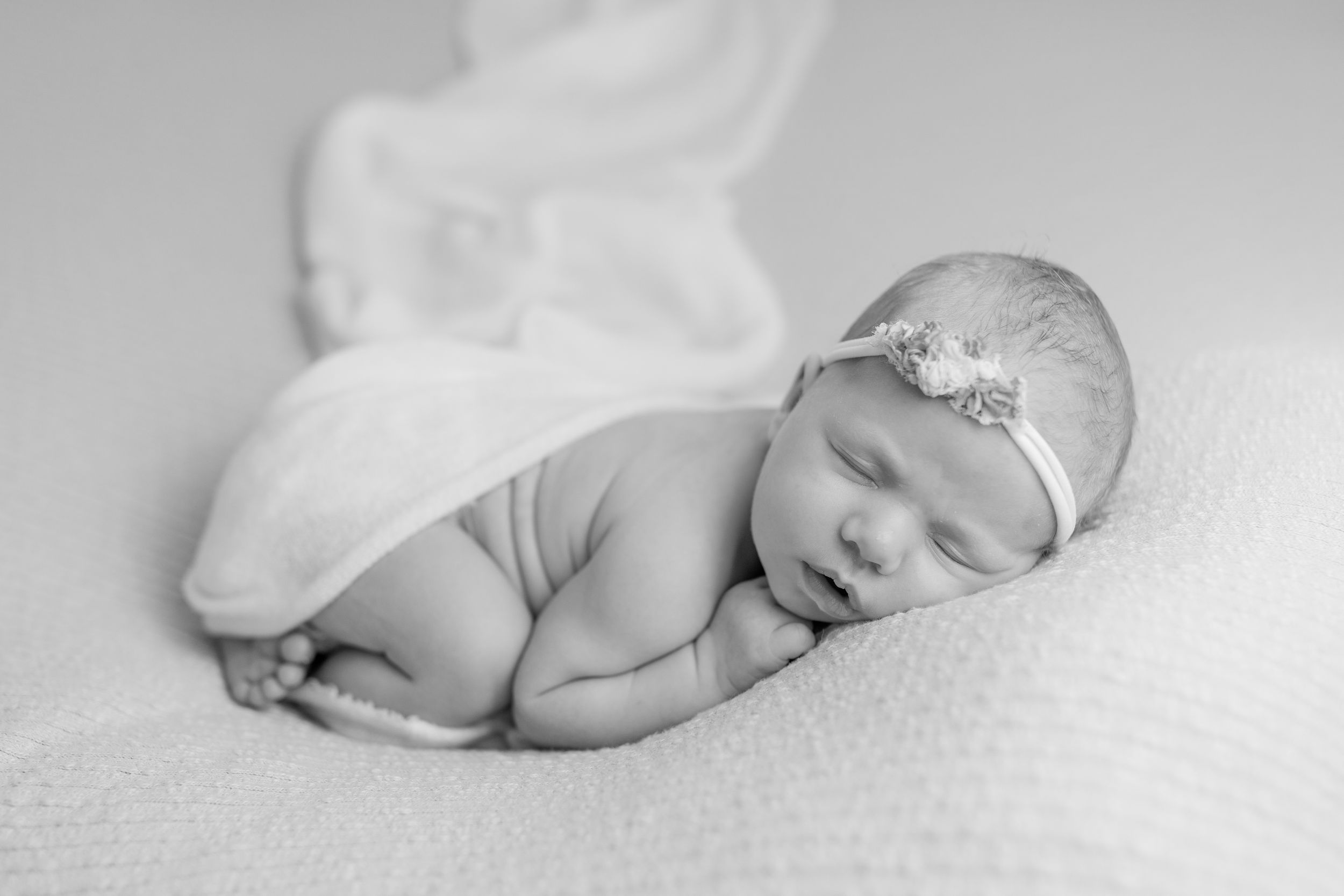 A collection of black and white newborn baby photographs arranged in a horizontal series showing peaceful sleeping poses.