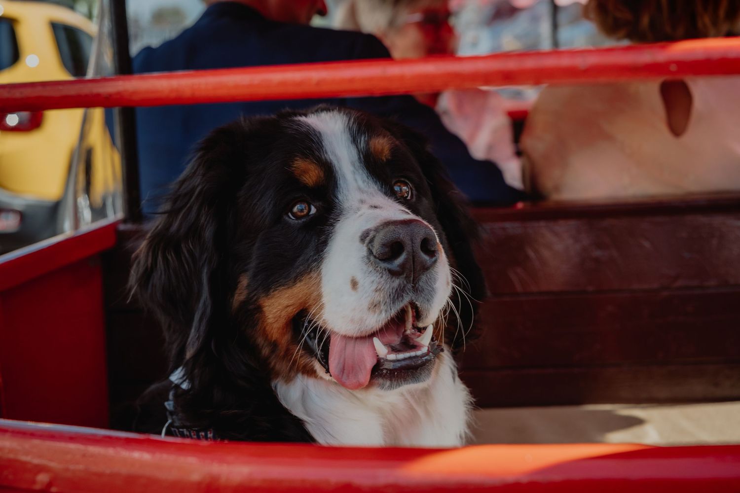 Bruidsfotografie Zwolle