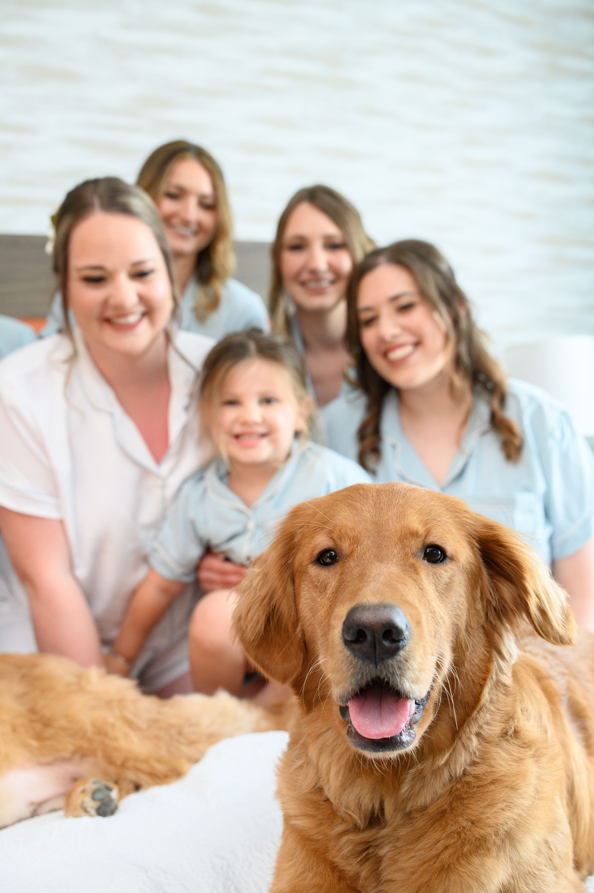 A happy Golden Retriever poses in the foreground with a smiling group sitting behind on a couch at home. primrose cottage photos