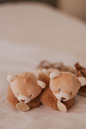 Two soft brown teddy bear plush toys lying side by side on a light-colored surface.