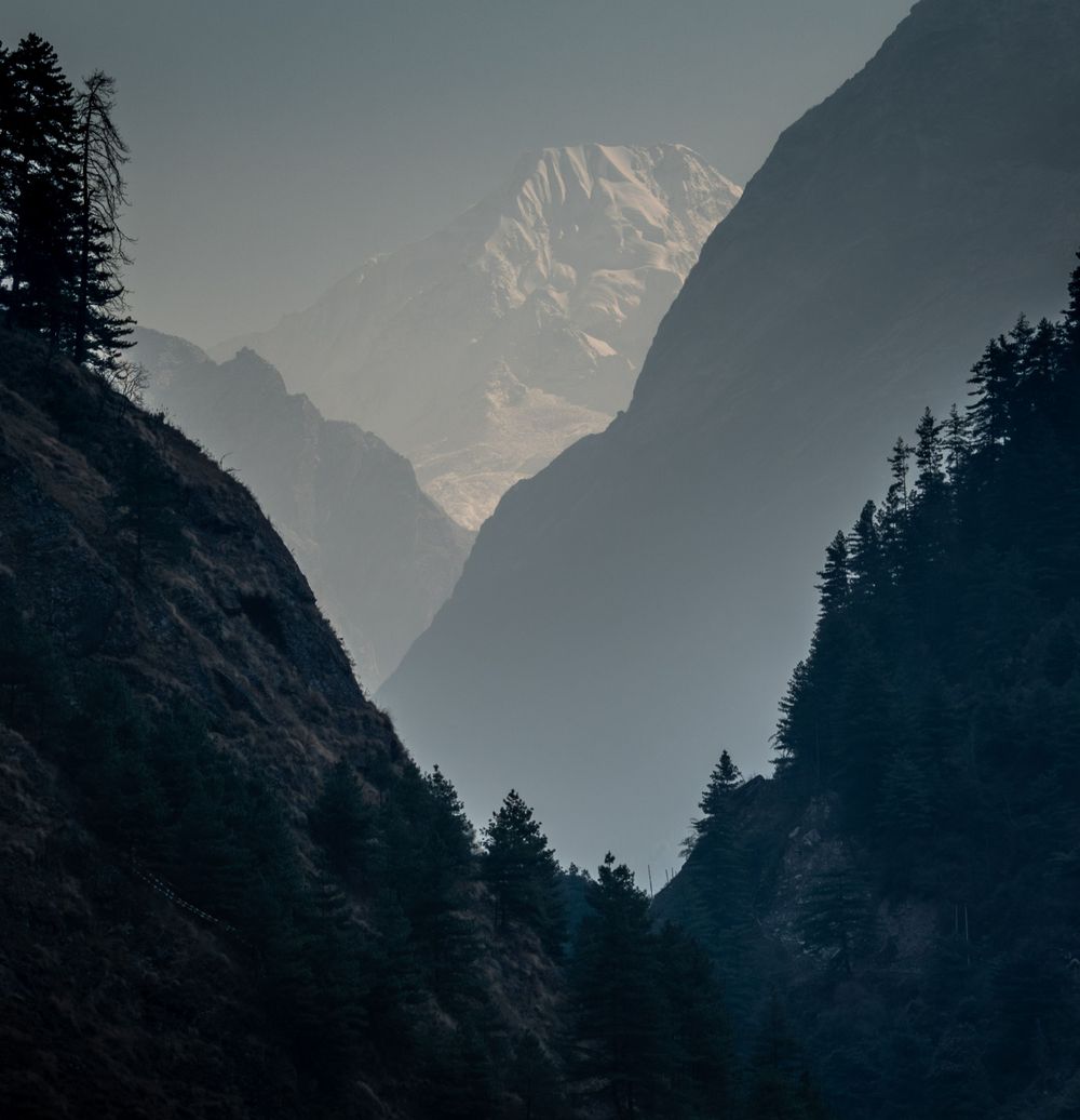 Snow-capped mountain peak visible through a narrow valley with evergreen trees silhouetted against misty cliffs.