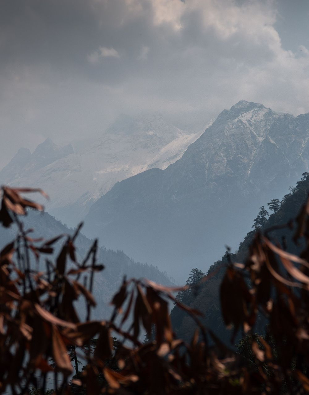Misty Himalayan mountains with autumn foliage in the foreground.