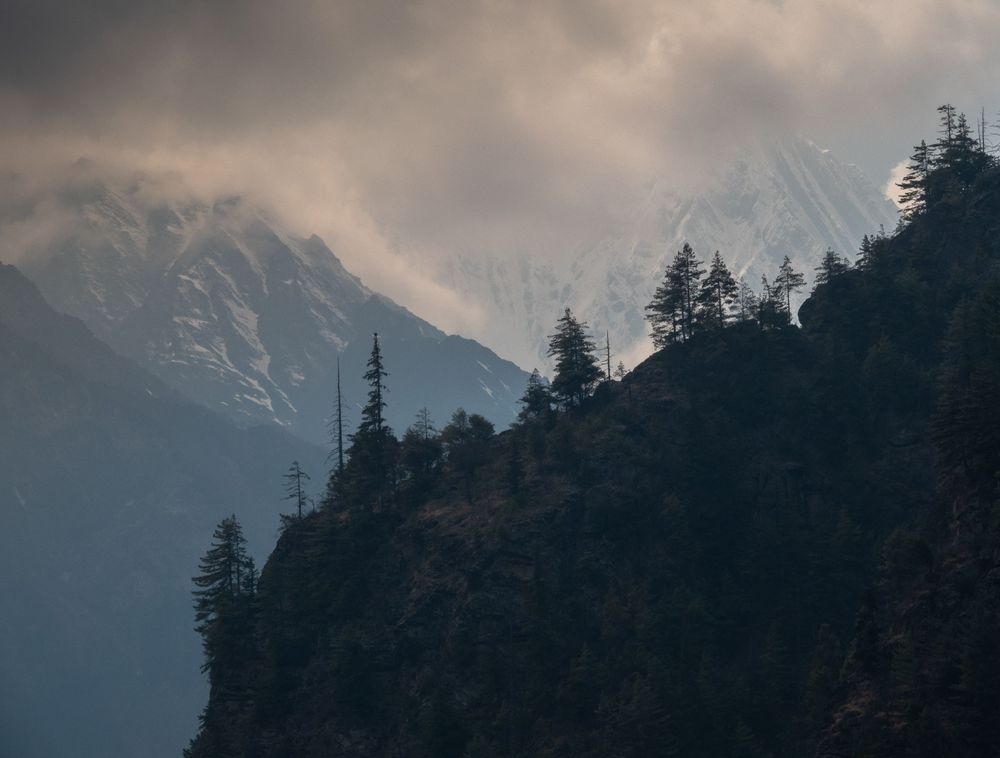 Dramatic mountain landscape with pine trees silhouetted against misty peaks.