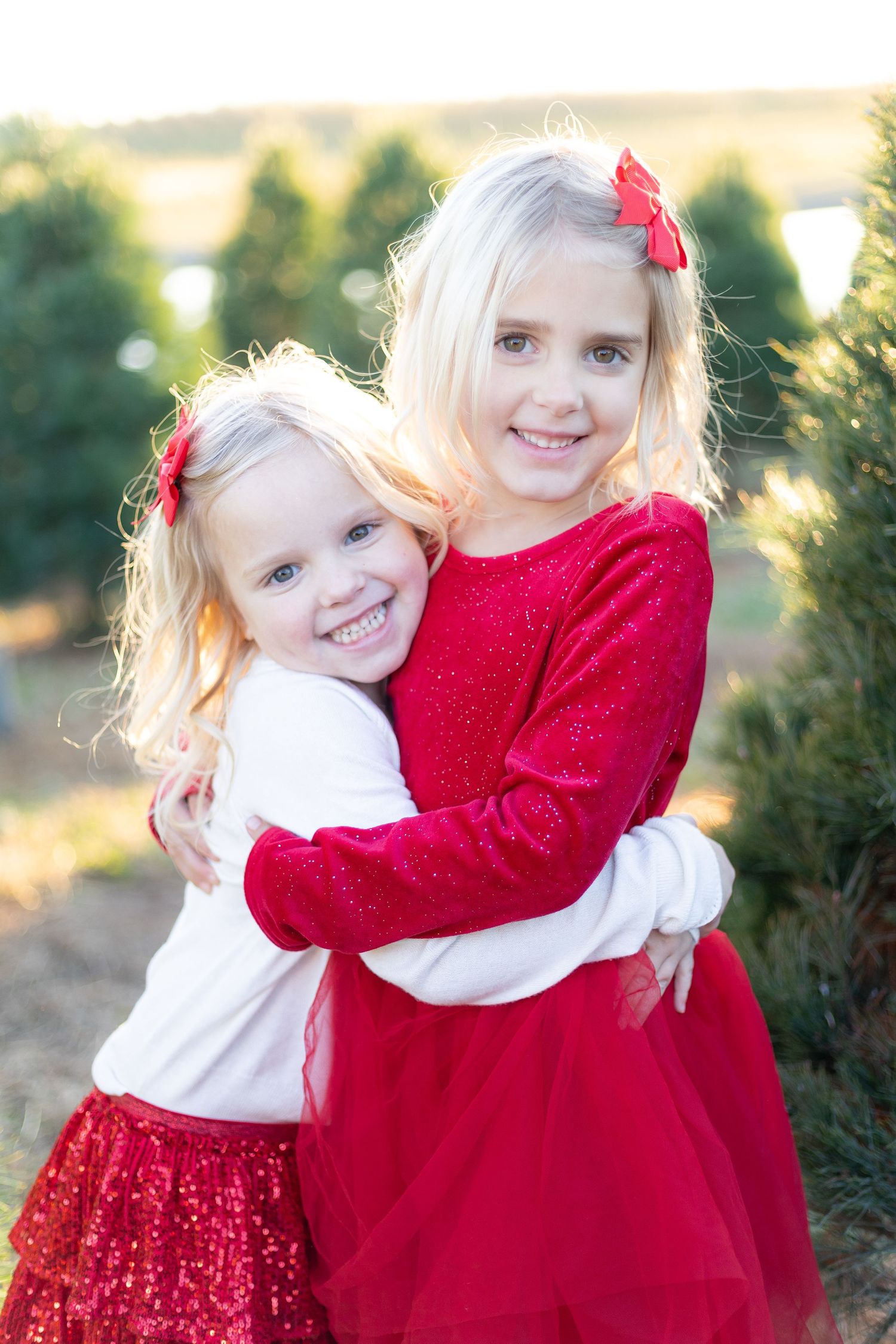 christmas tree farm session belleville illinois