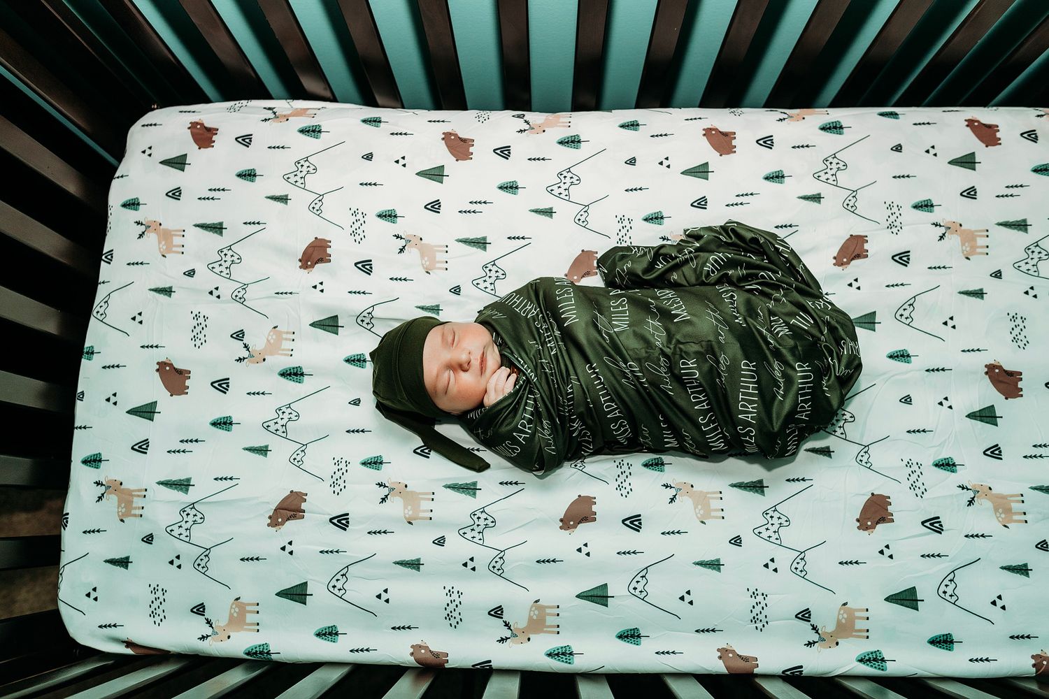 Fenton Michigan Newborn Photographer