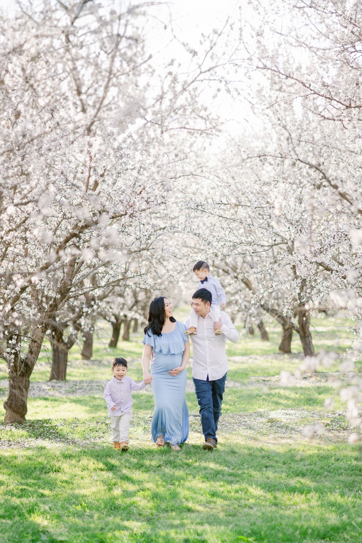 Family enjoying a spring day under blooming cherry blossom trees in an orchard.